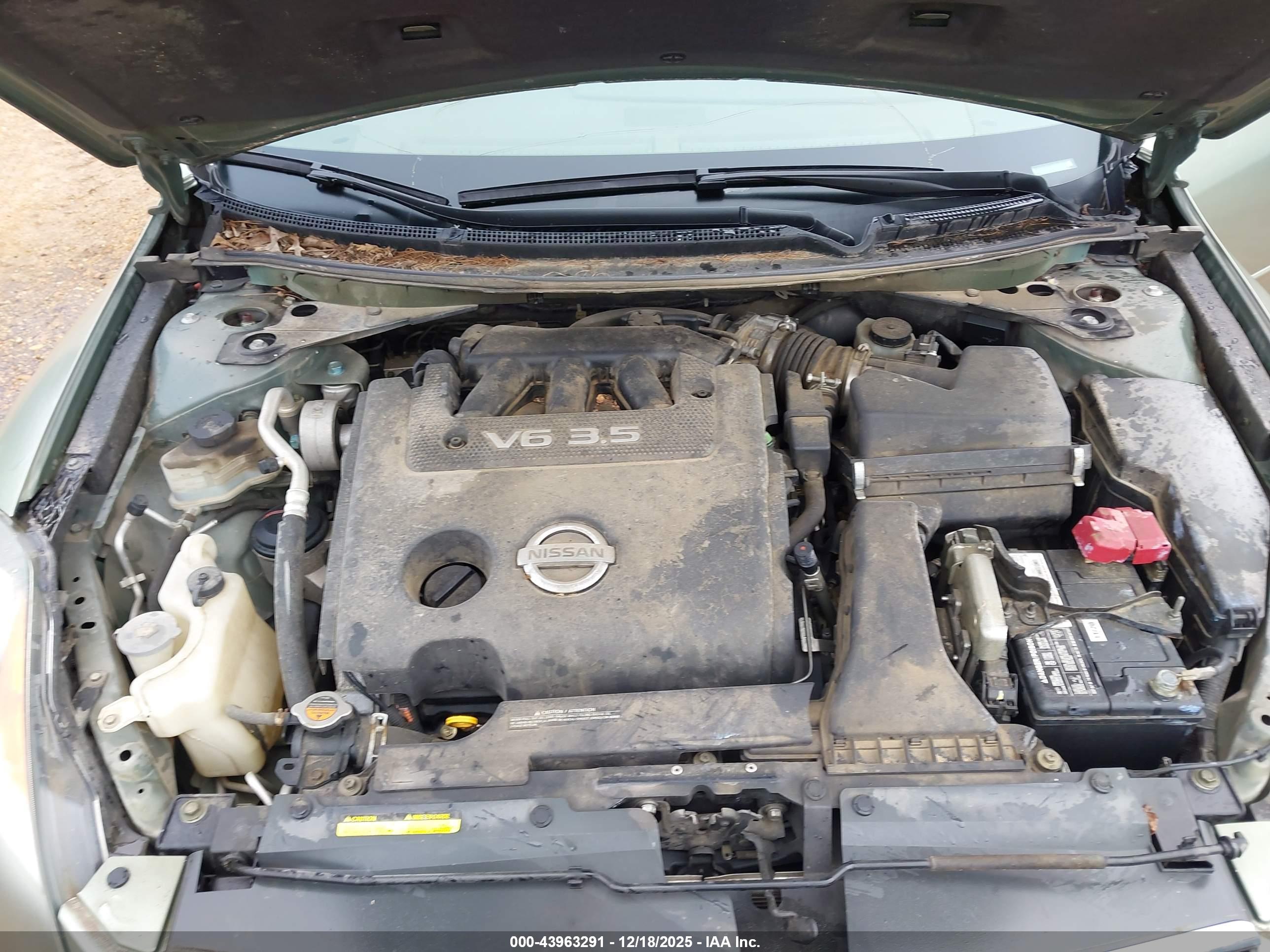 NISSAN ALTIMA image 10