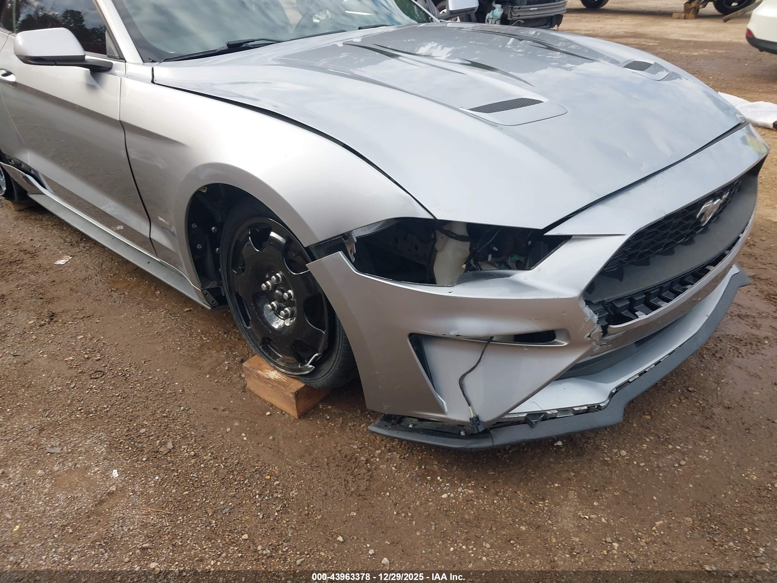 FORD MUSTANG image 6