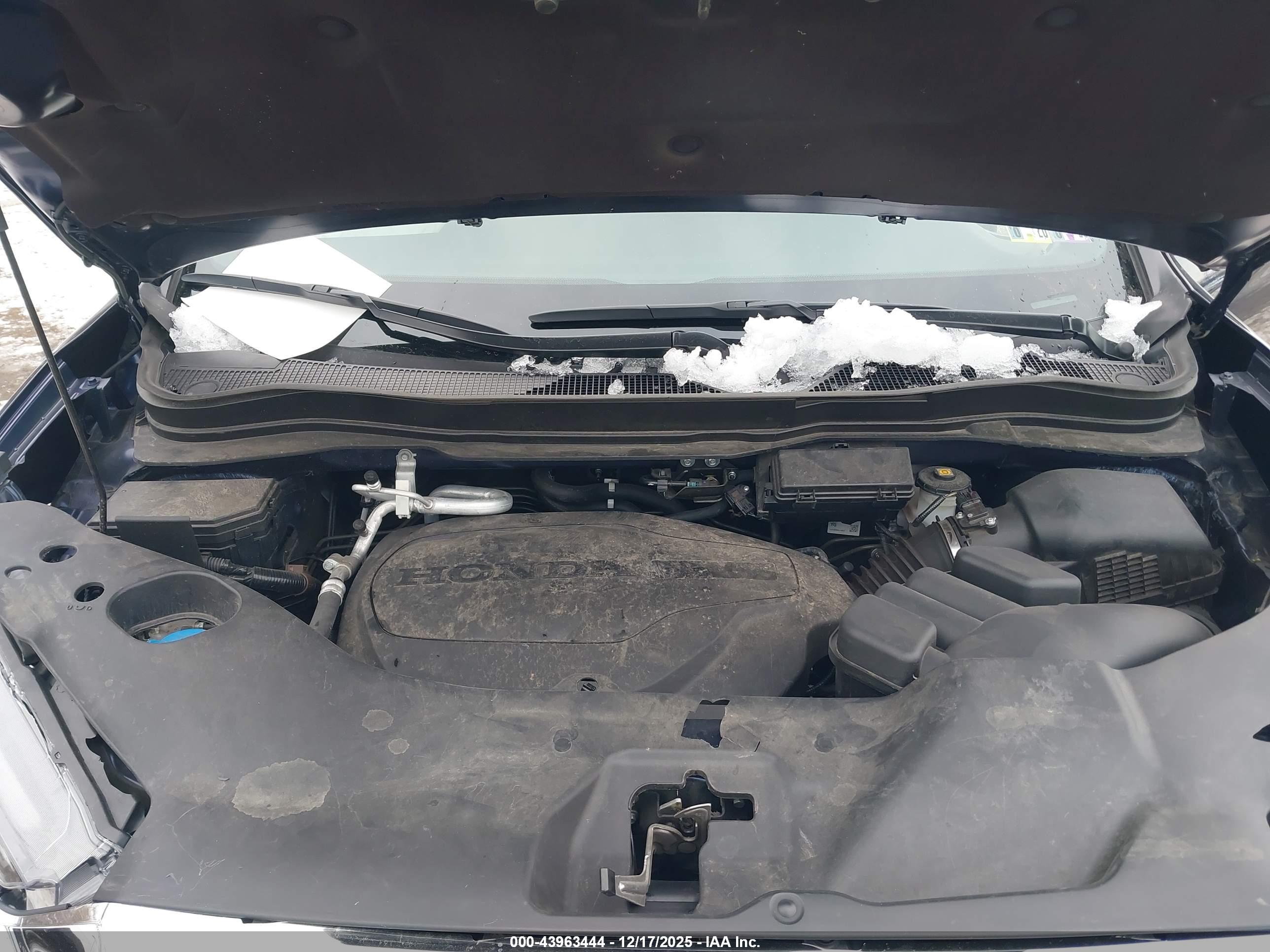 HONDA PASSPORT image 10