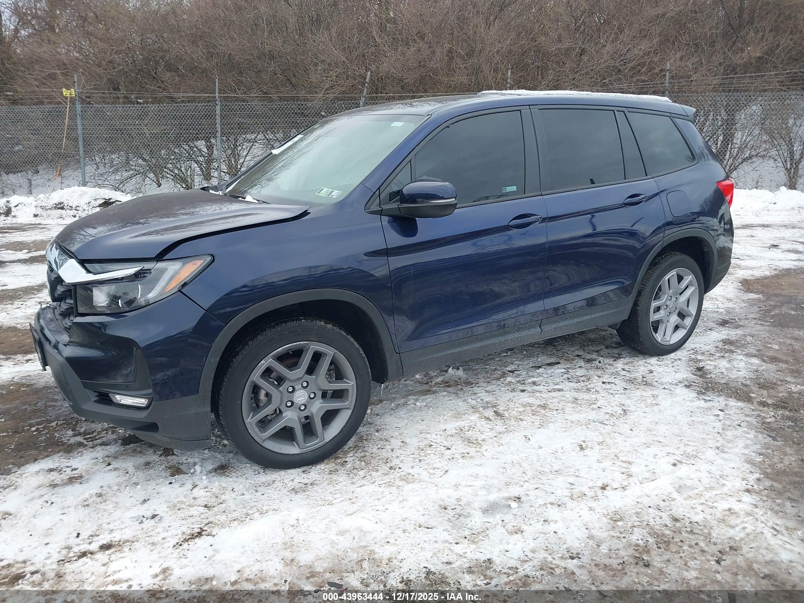 HONDA PASSPORT image 2