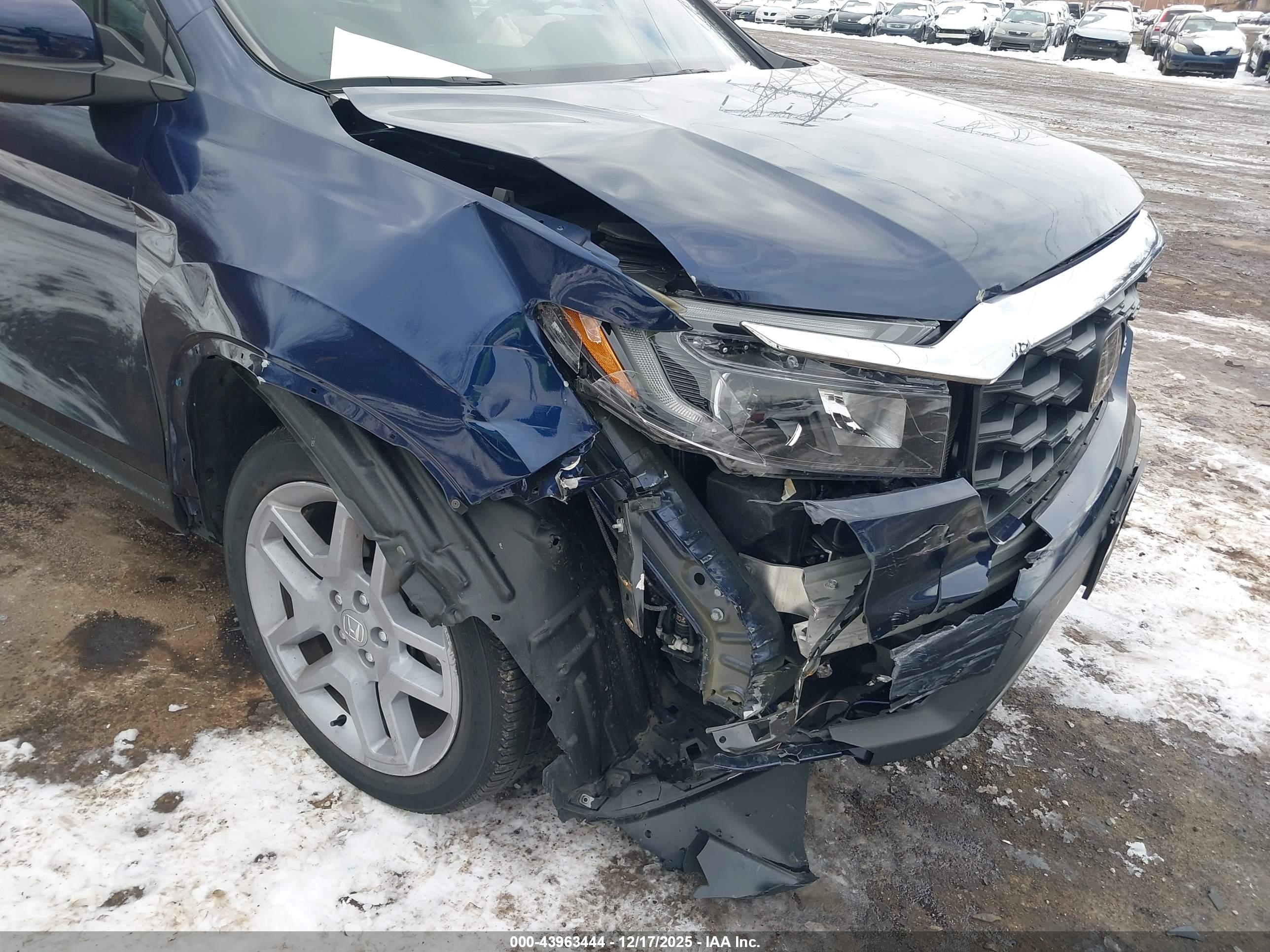 HONDA PASSPORT image 6