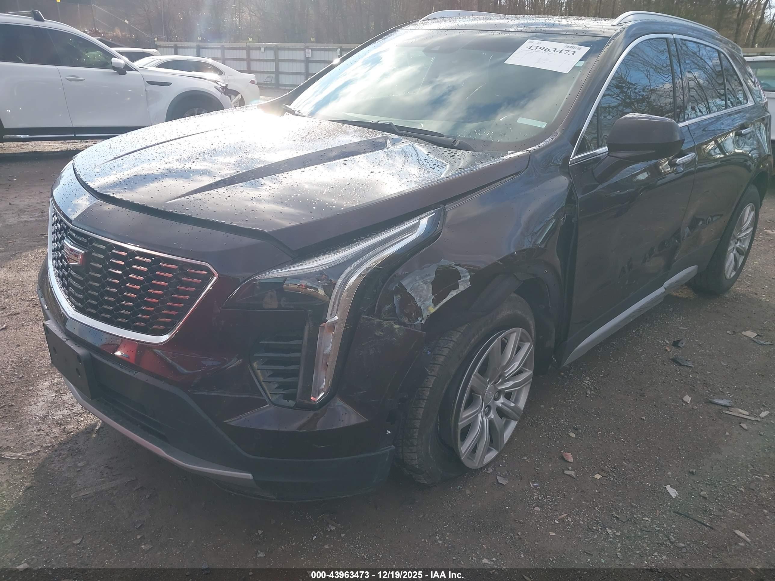 CADILLAC XT4 image 6