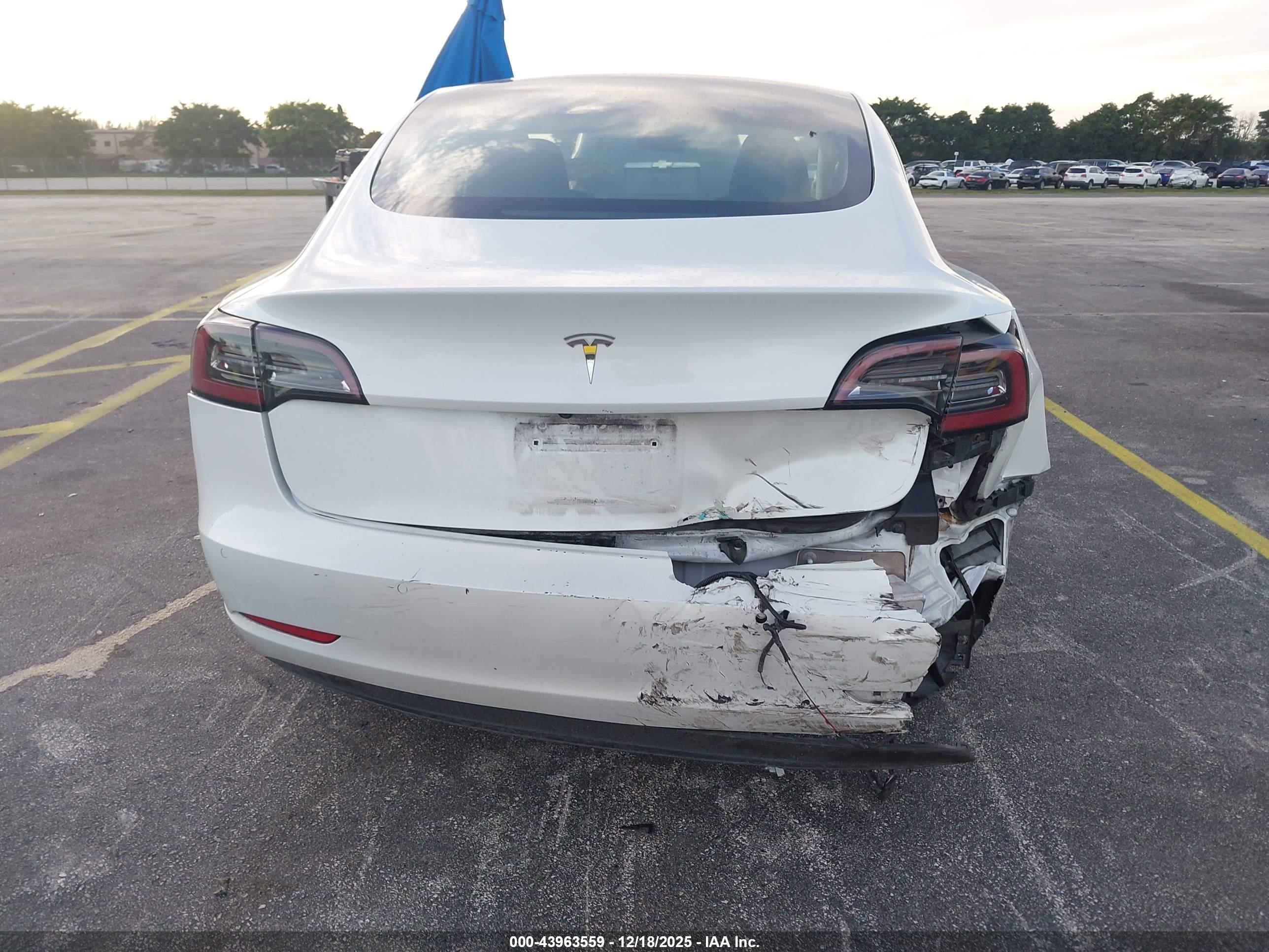 TESLA MODEL image 6