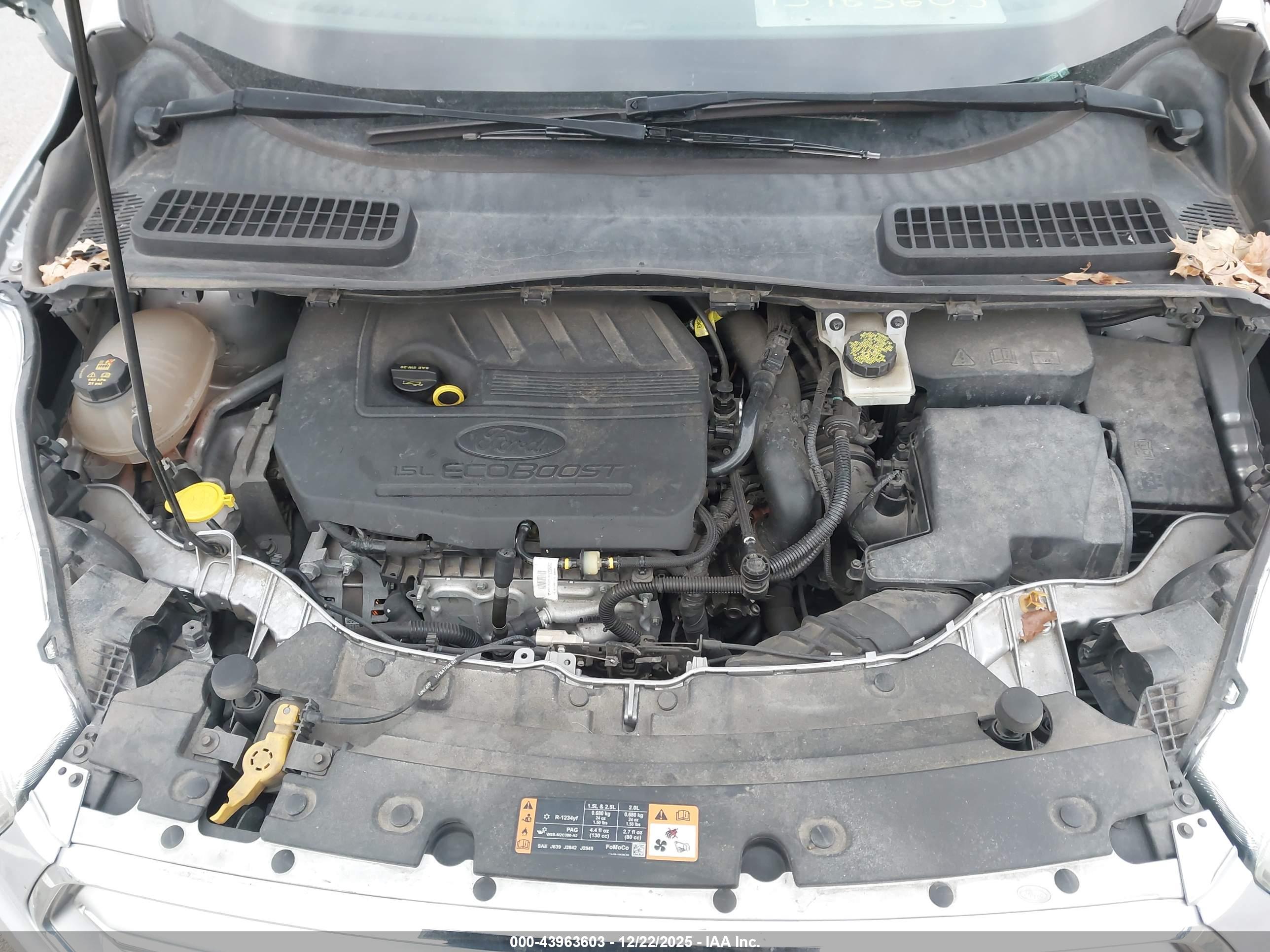 FORD ESCAPE image 10