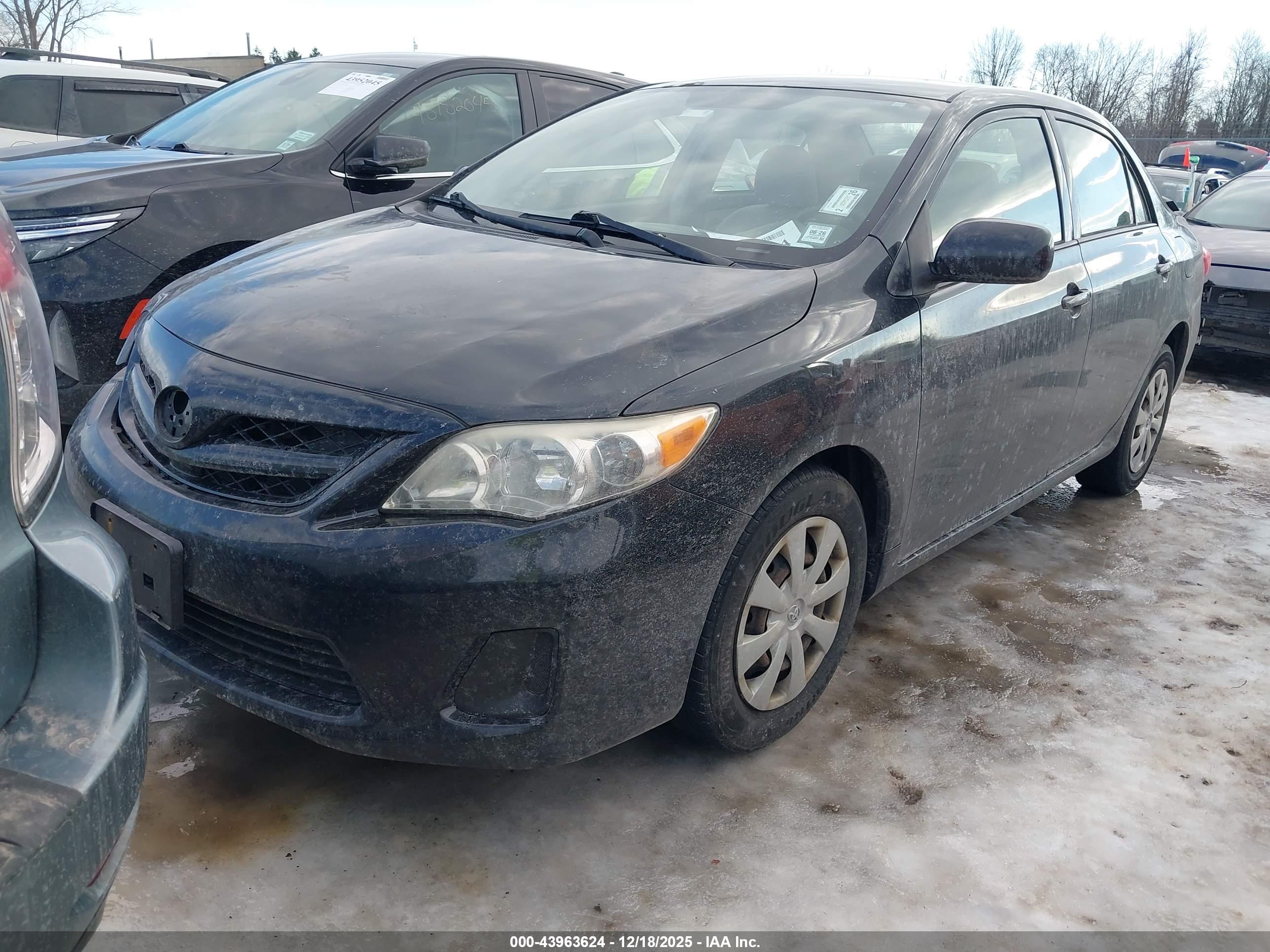 TOYOTA COROLLA image 2