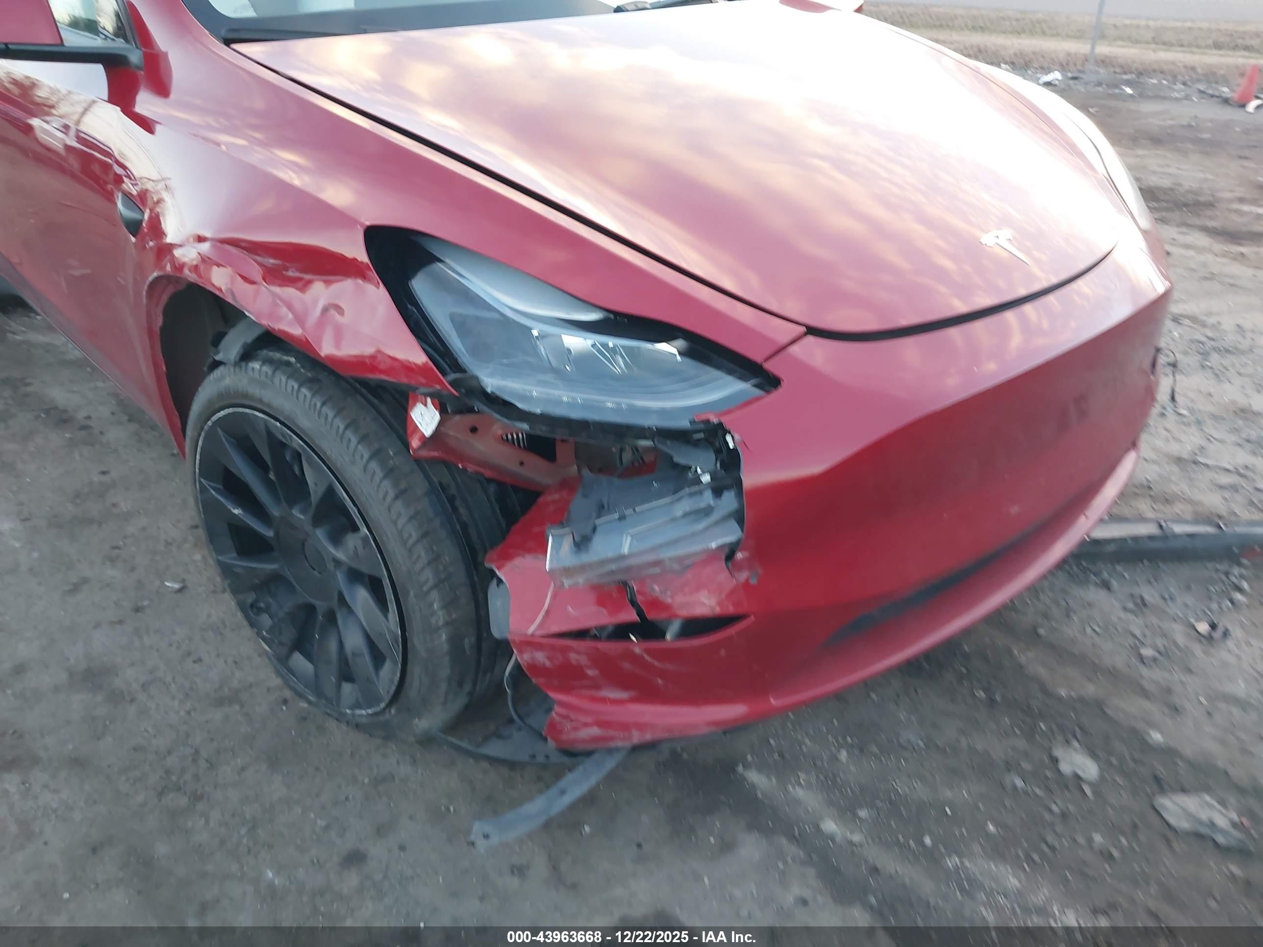 TESLA MODEL image 6