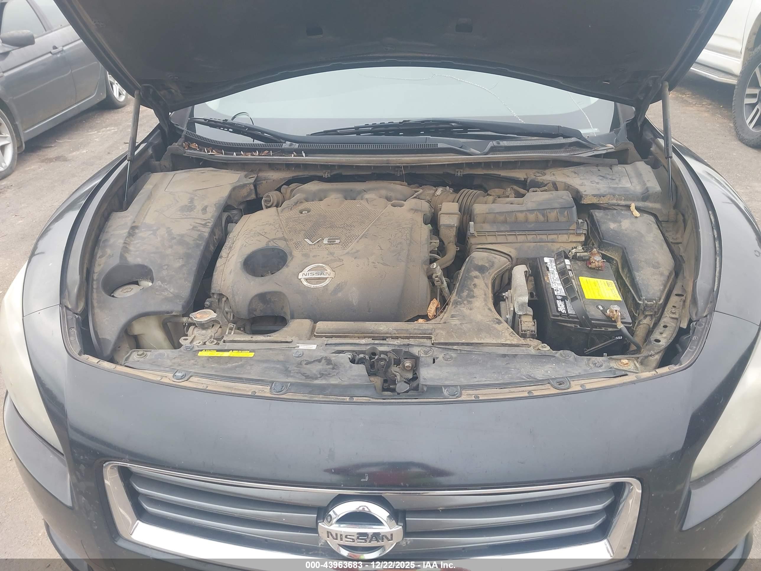 NISSAN MAXIMA image 10