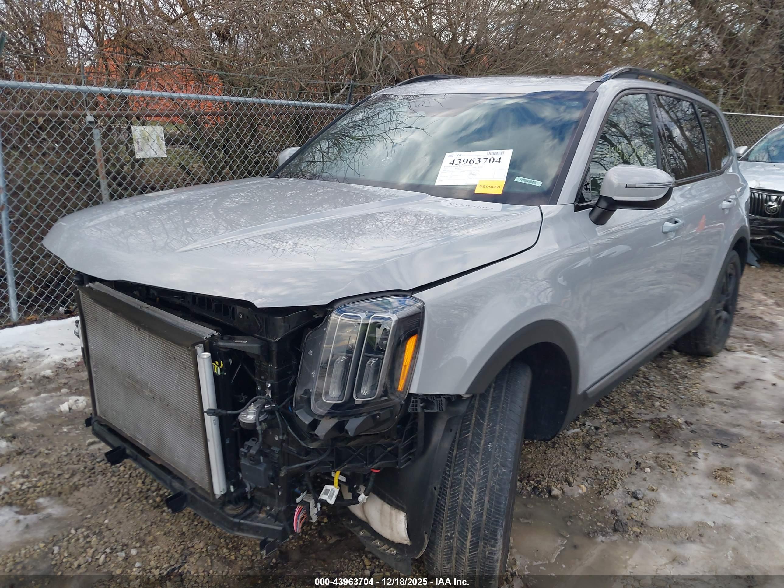 KIA TELLURIDE image 2