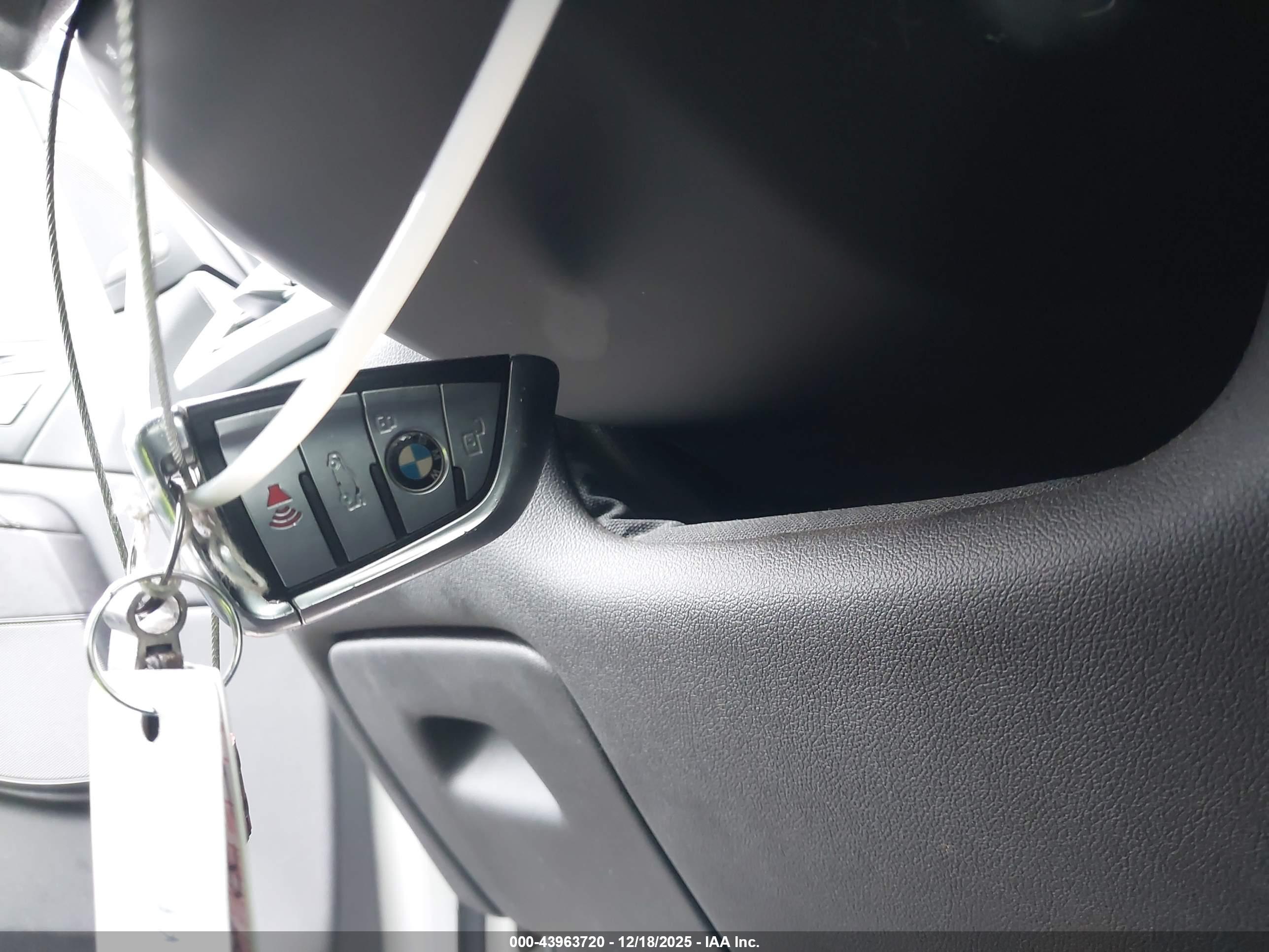 BMW X7 image 11