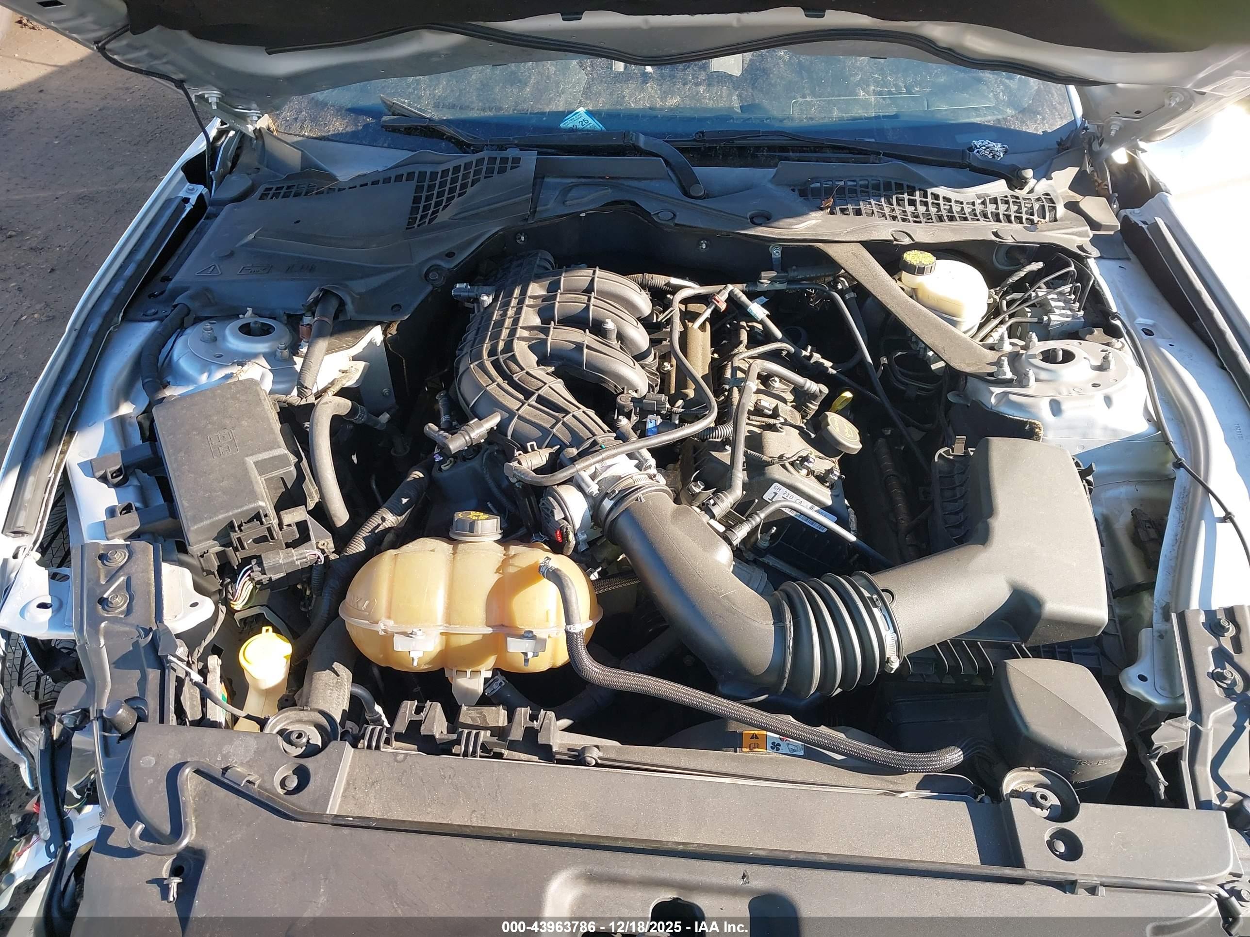 FORD MUSTANG image 10