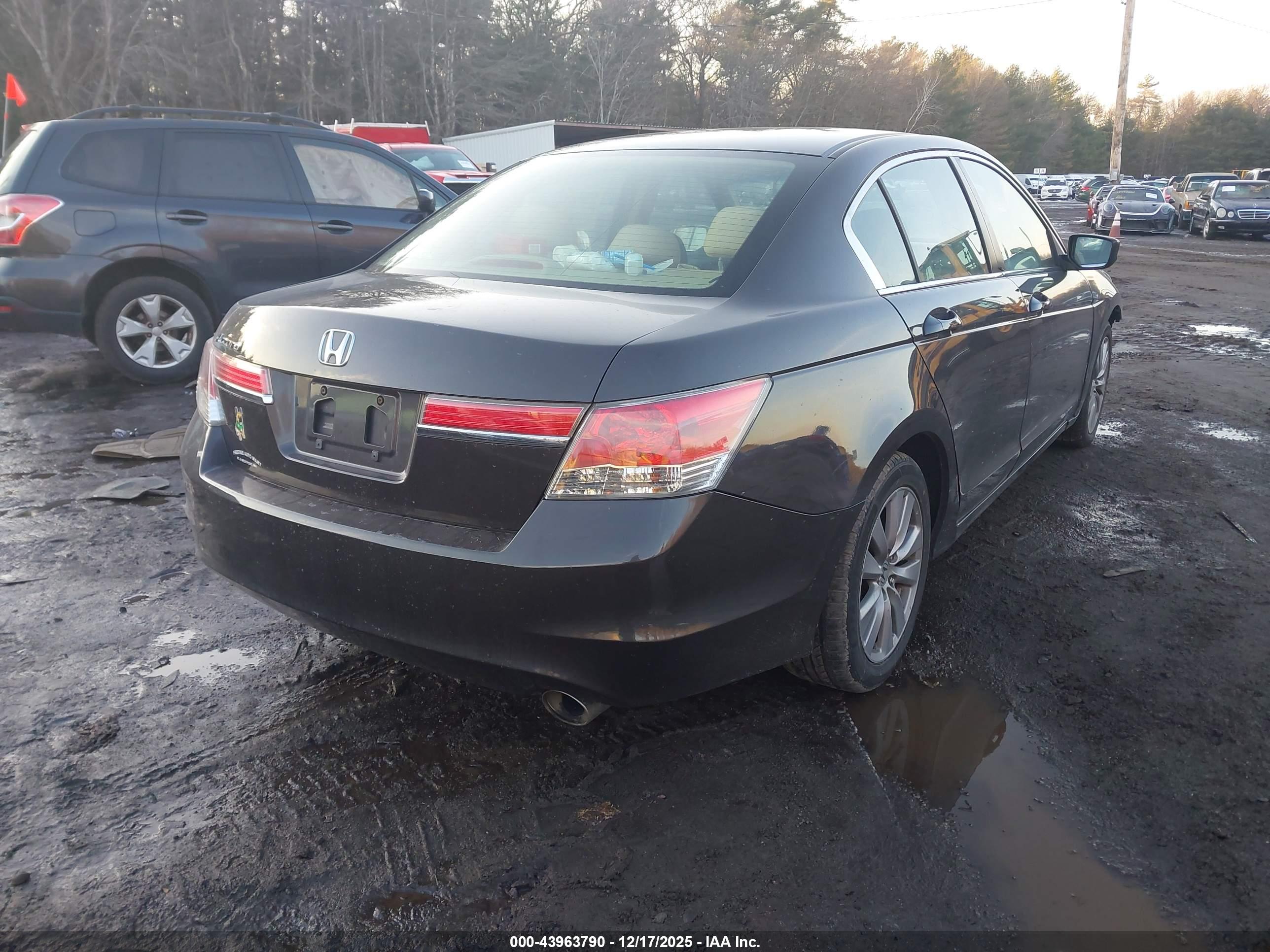 HONDA ACCORD image 4