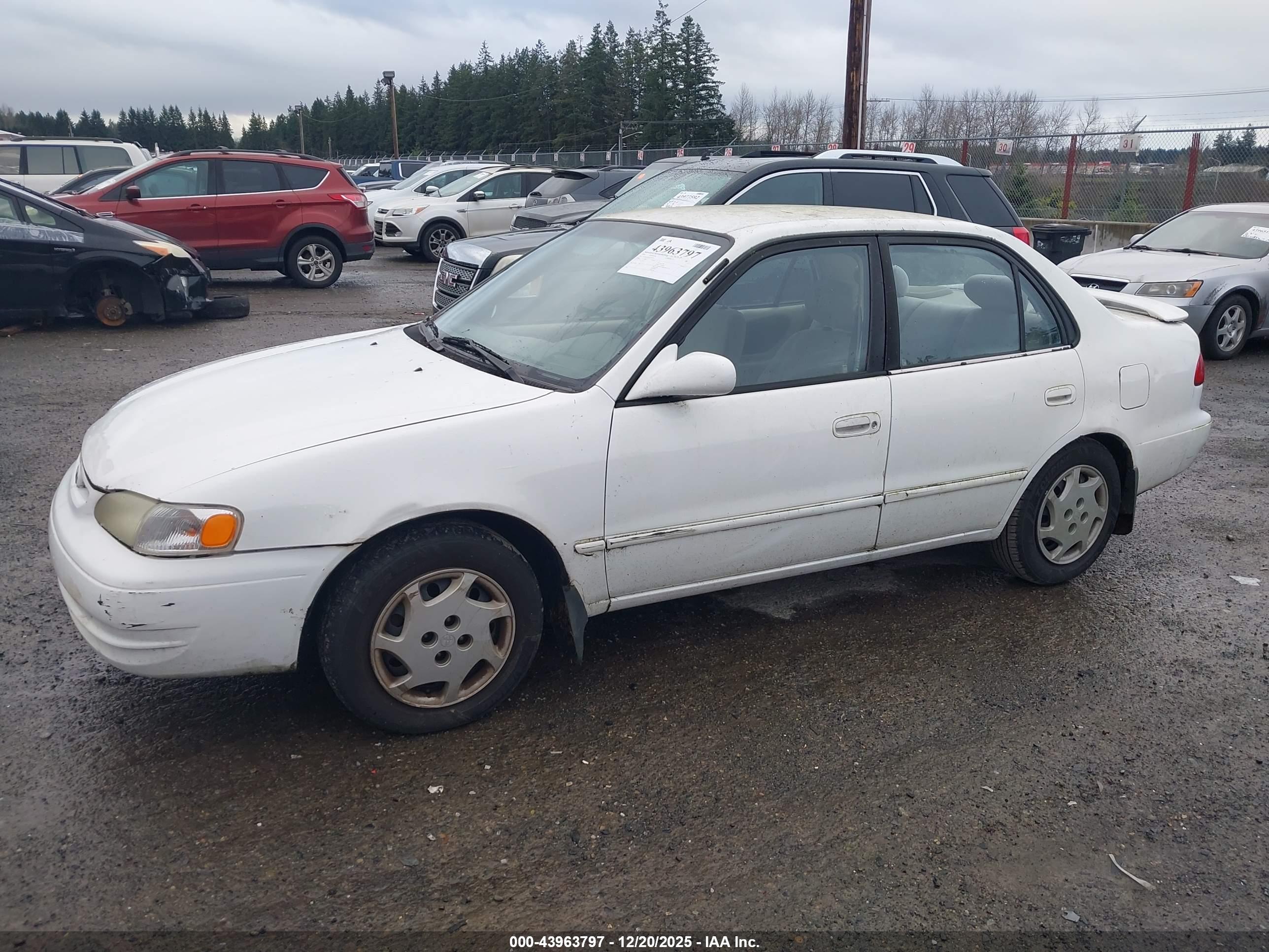 TOYOTA COROLLA image 2
