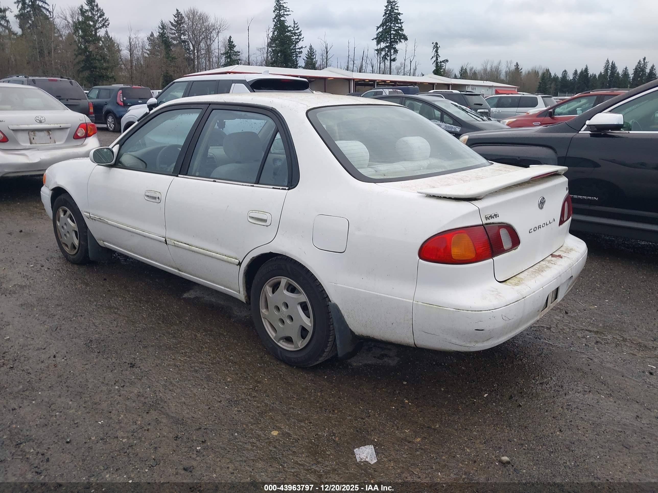 TOYOTA COROLLA image 3