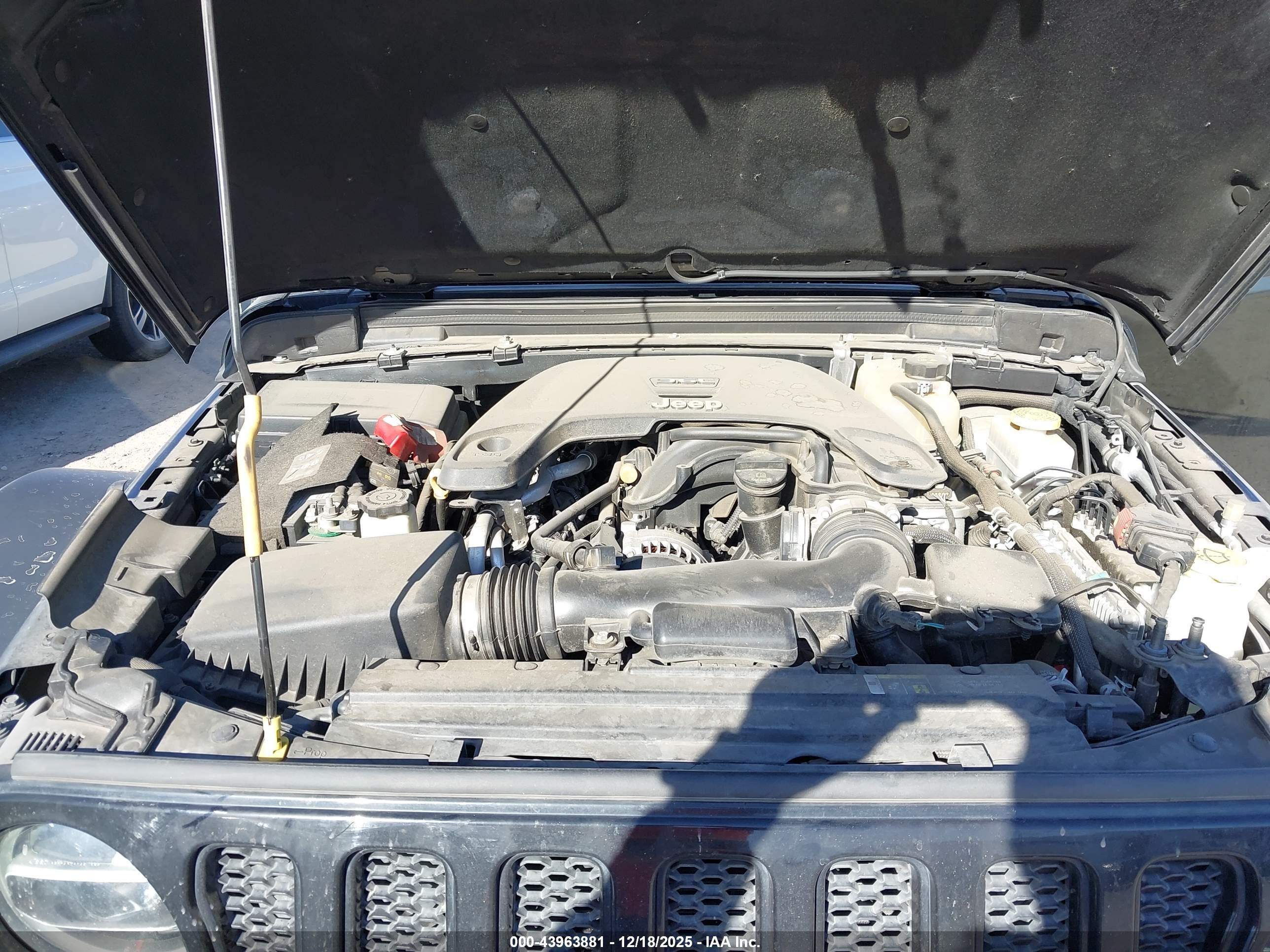 JEEP WRANGLER image 10