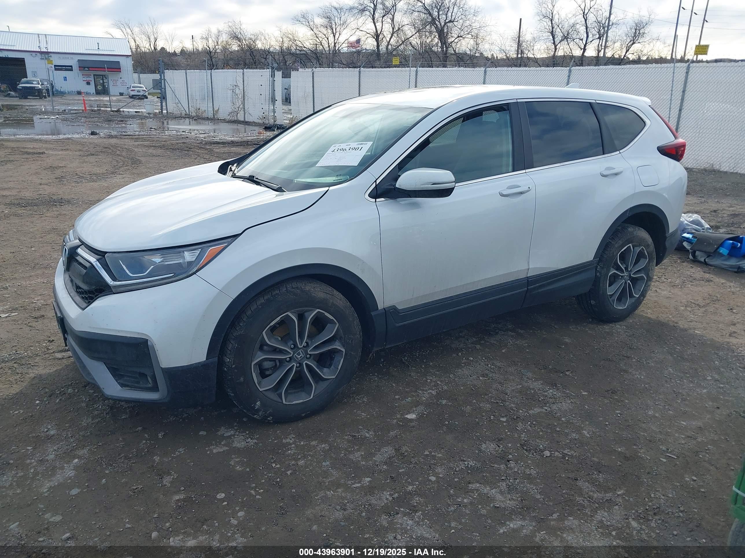 HONDA CR-V image 2