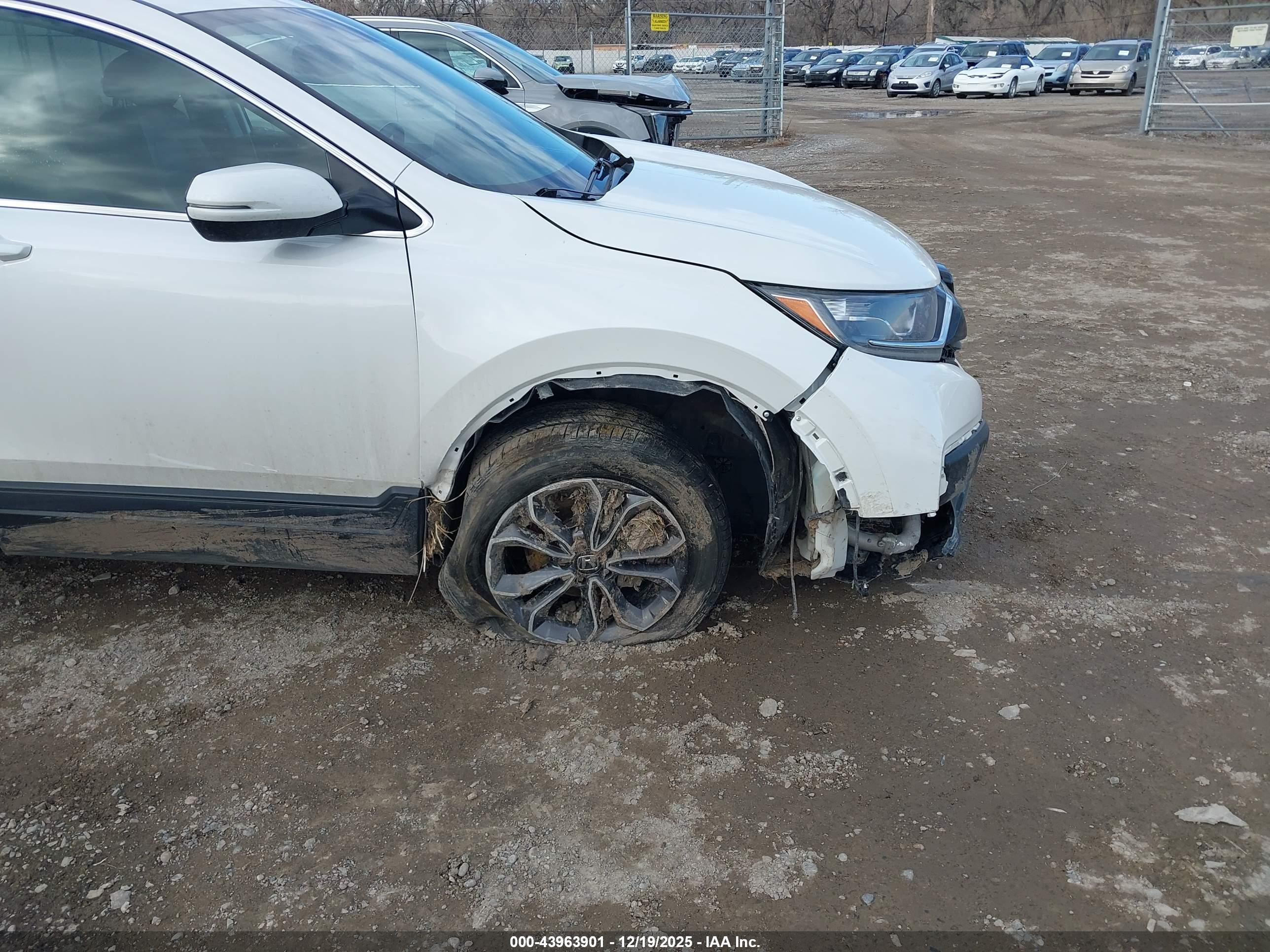 HONDA CR-V image 6