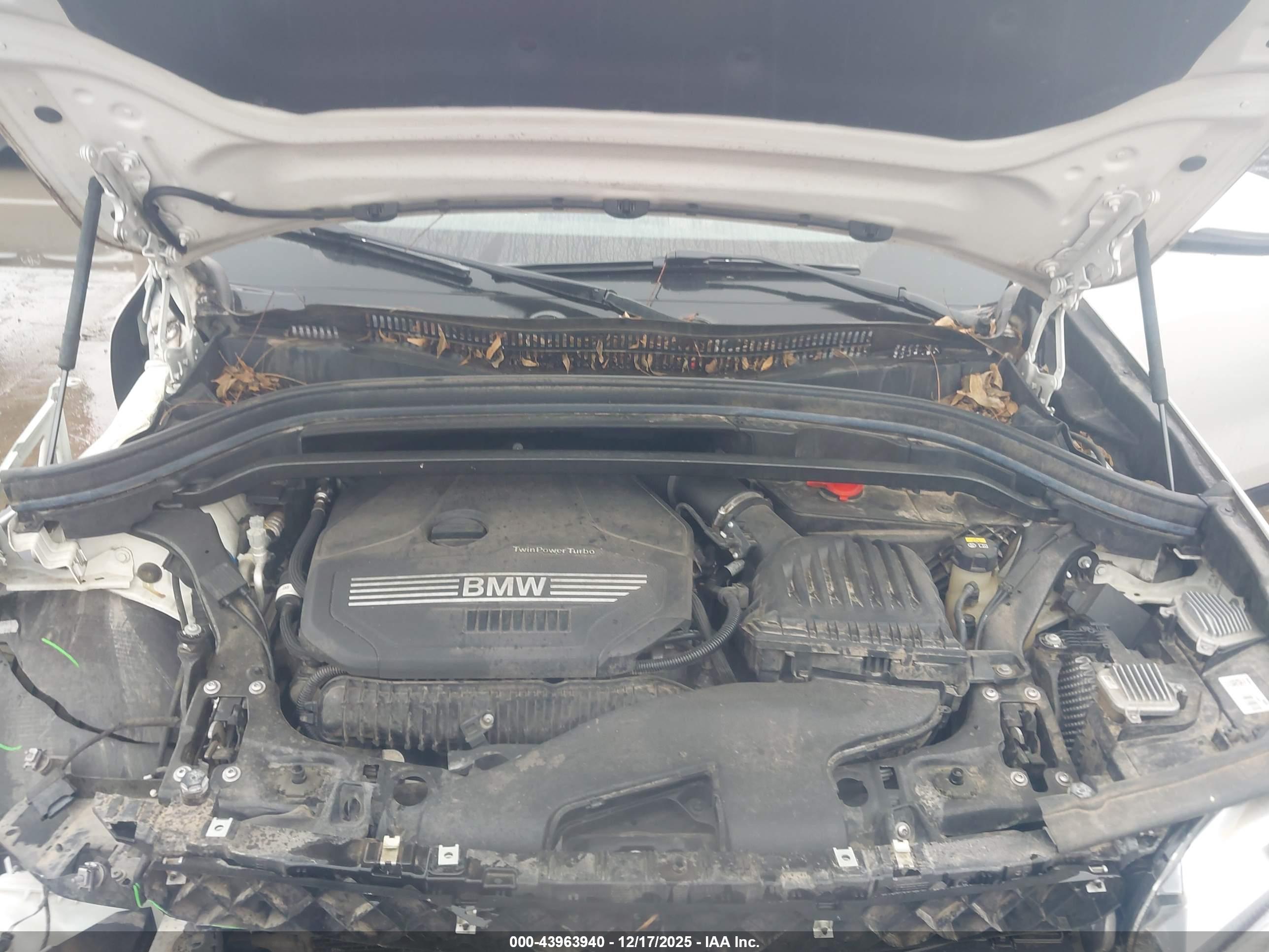 BMW X2 image 10