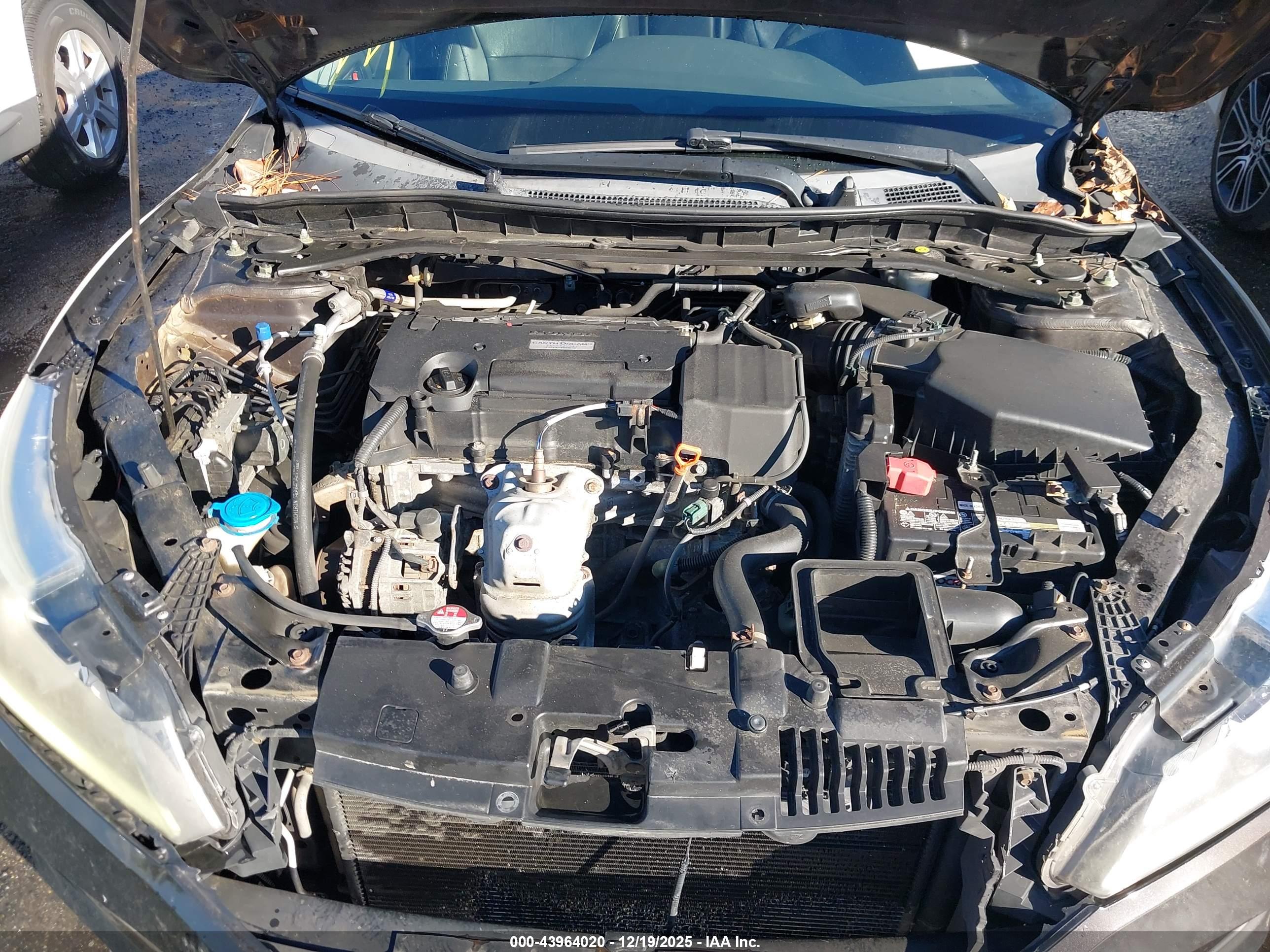 HONDA ACCORD image 10
