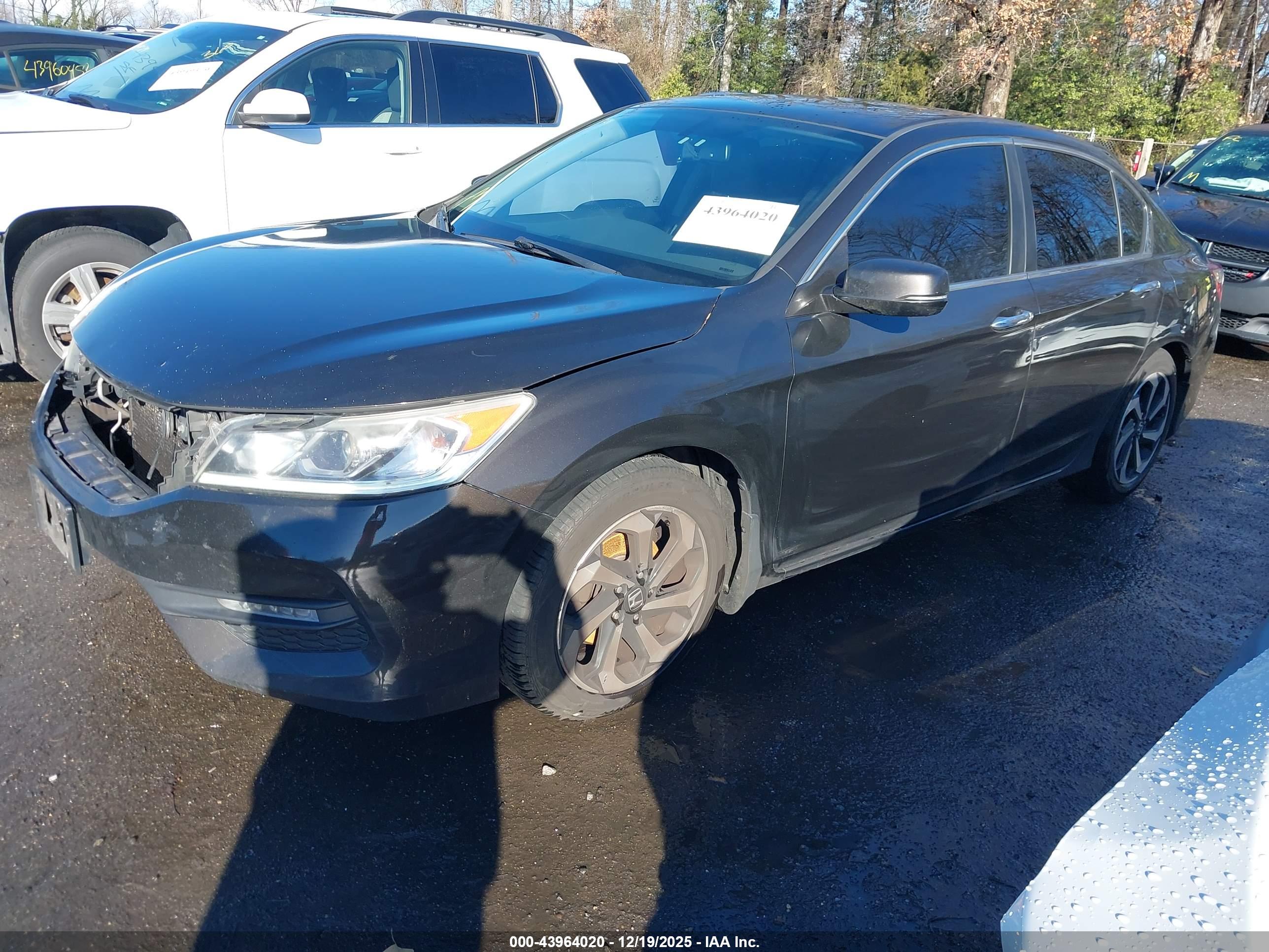 HONDA ACCORD image 2