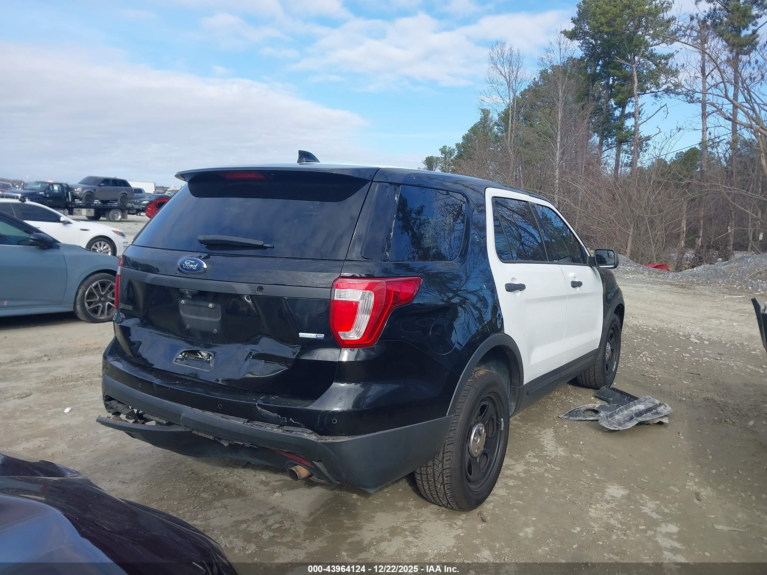 FORD UTILITY image 4