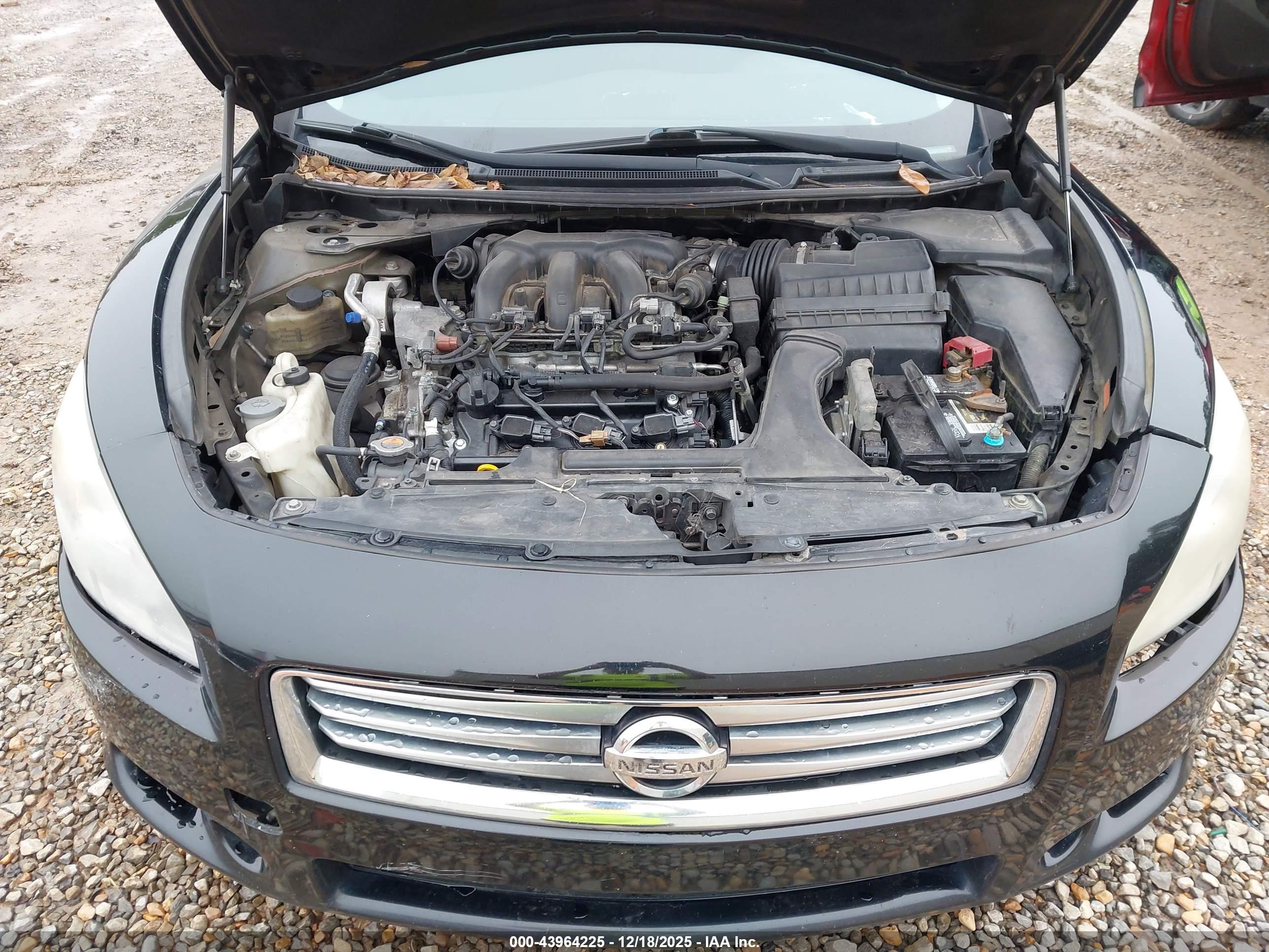 NISSAN MAXIMA image 10