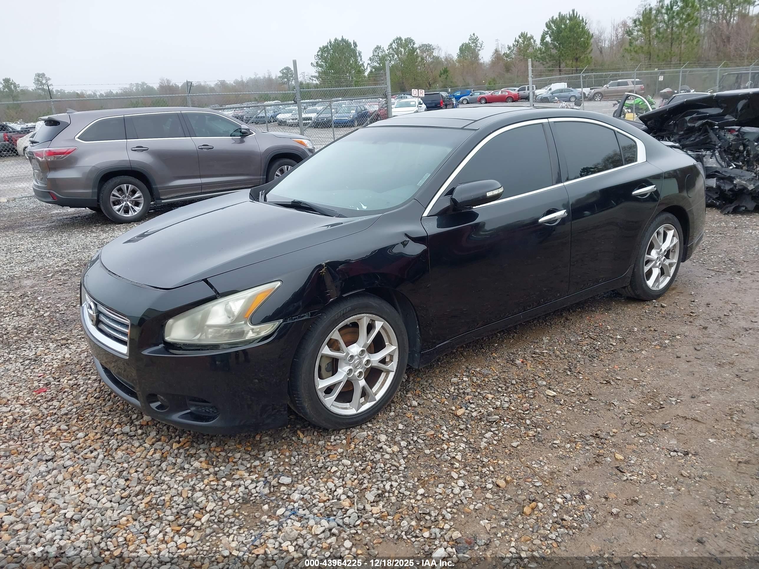 NISSAN MAXIMA image 2