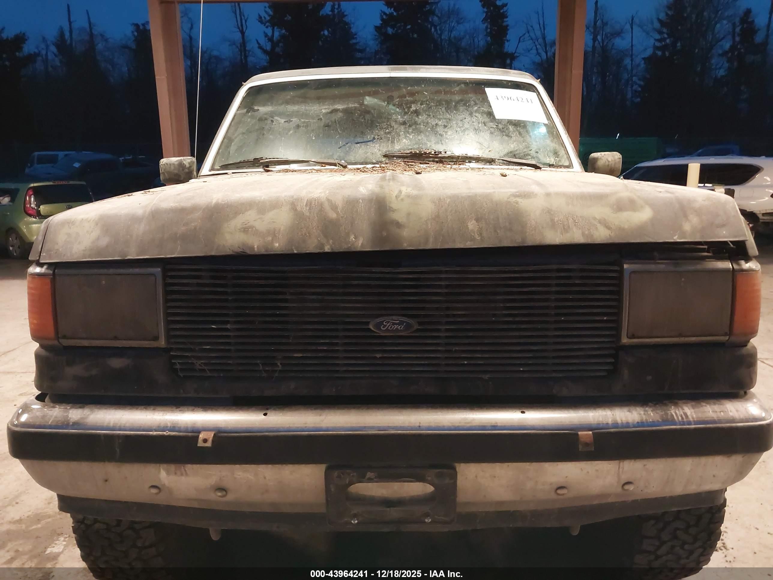 FORD BRONCO image 6