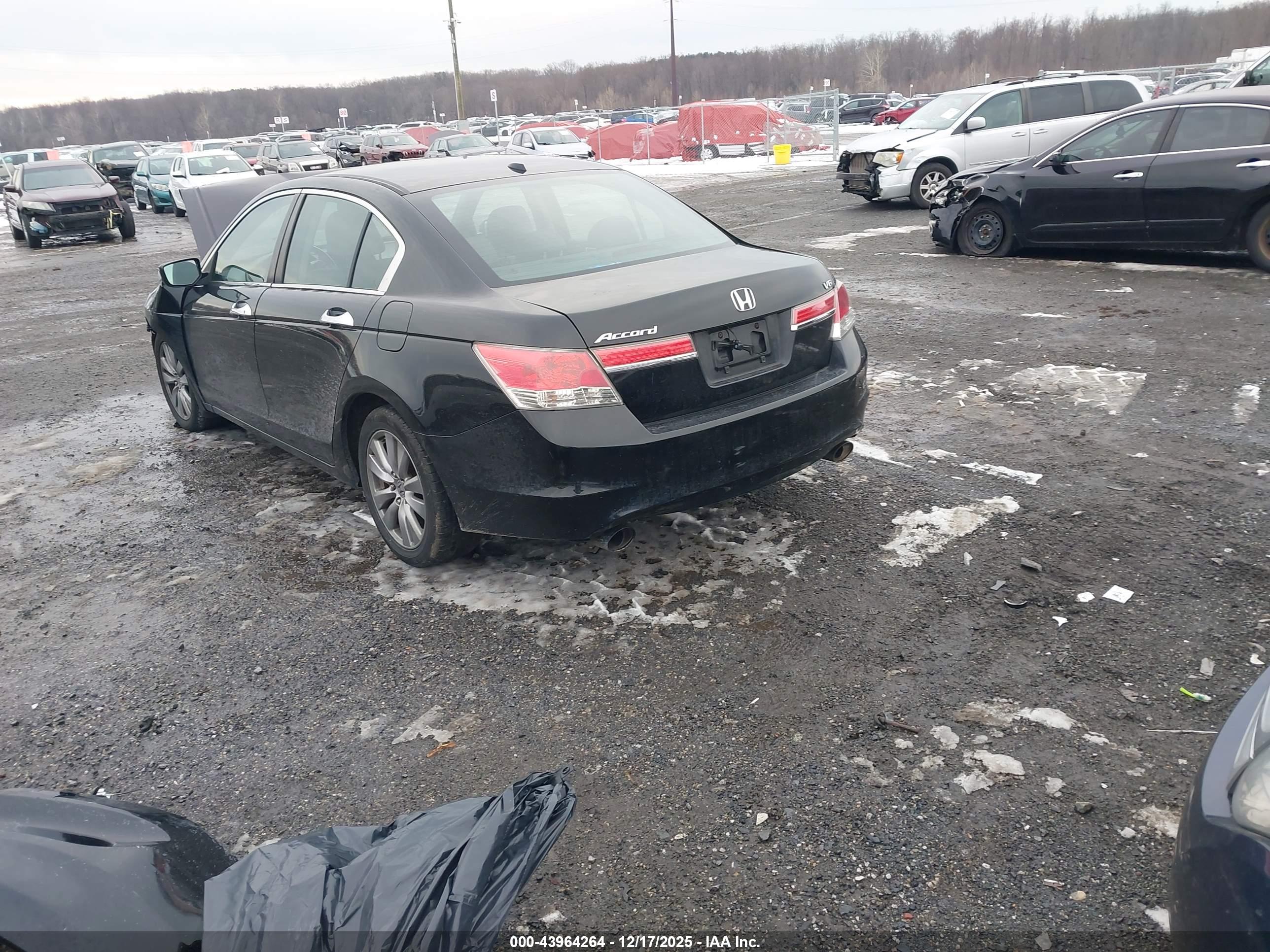 HONDA ACCORD image 3