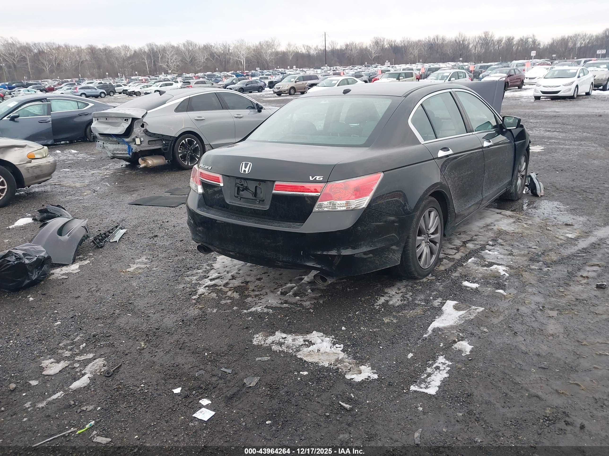 HONDA ACCORD image 4