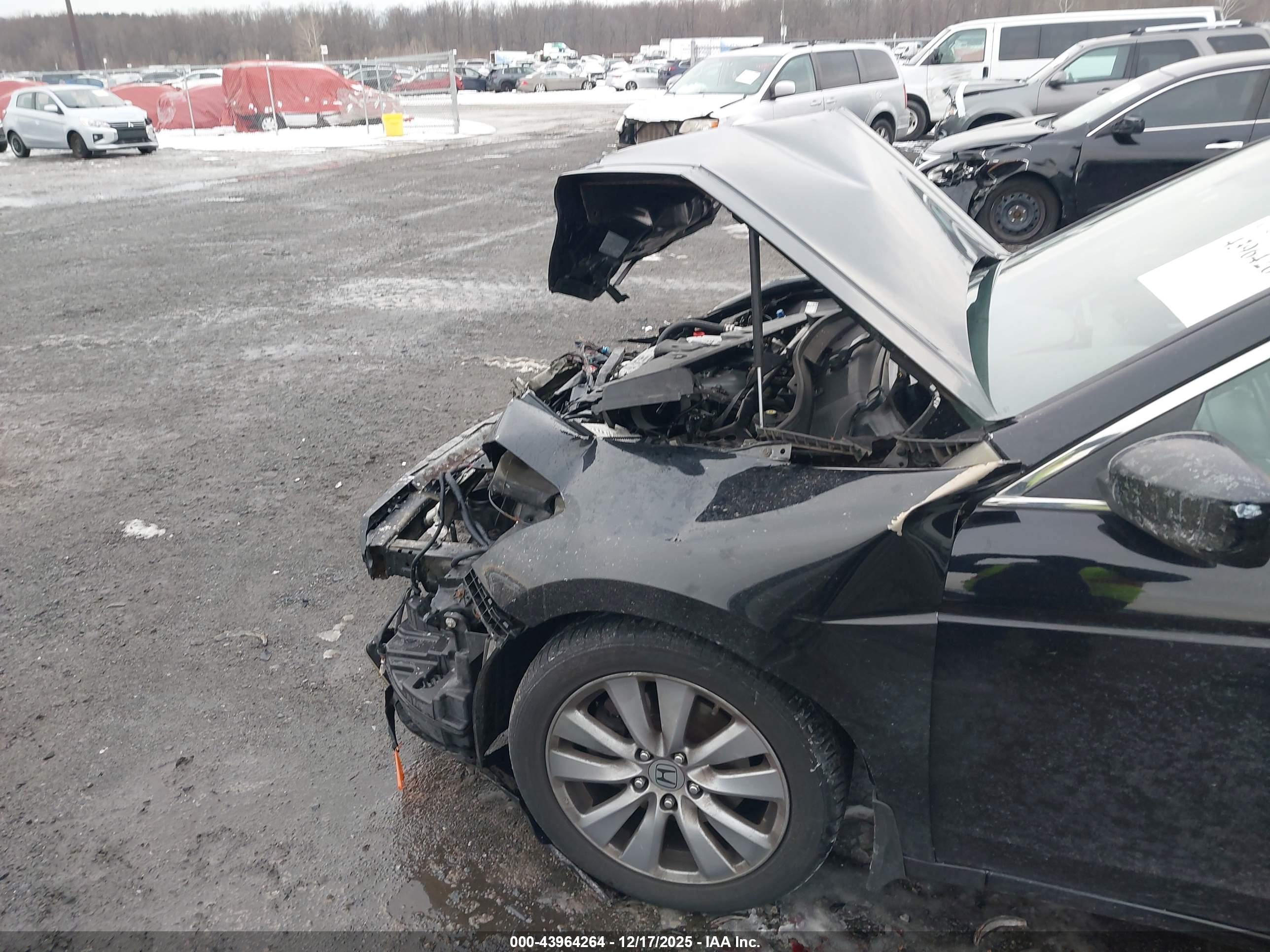 HONDA ACCORD image 6
