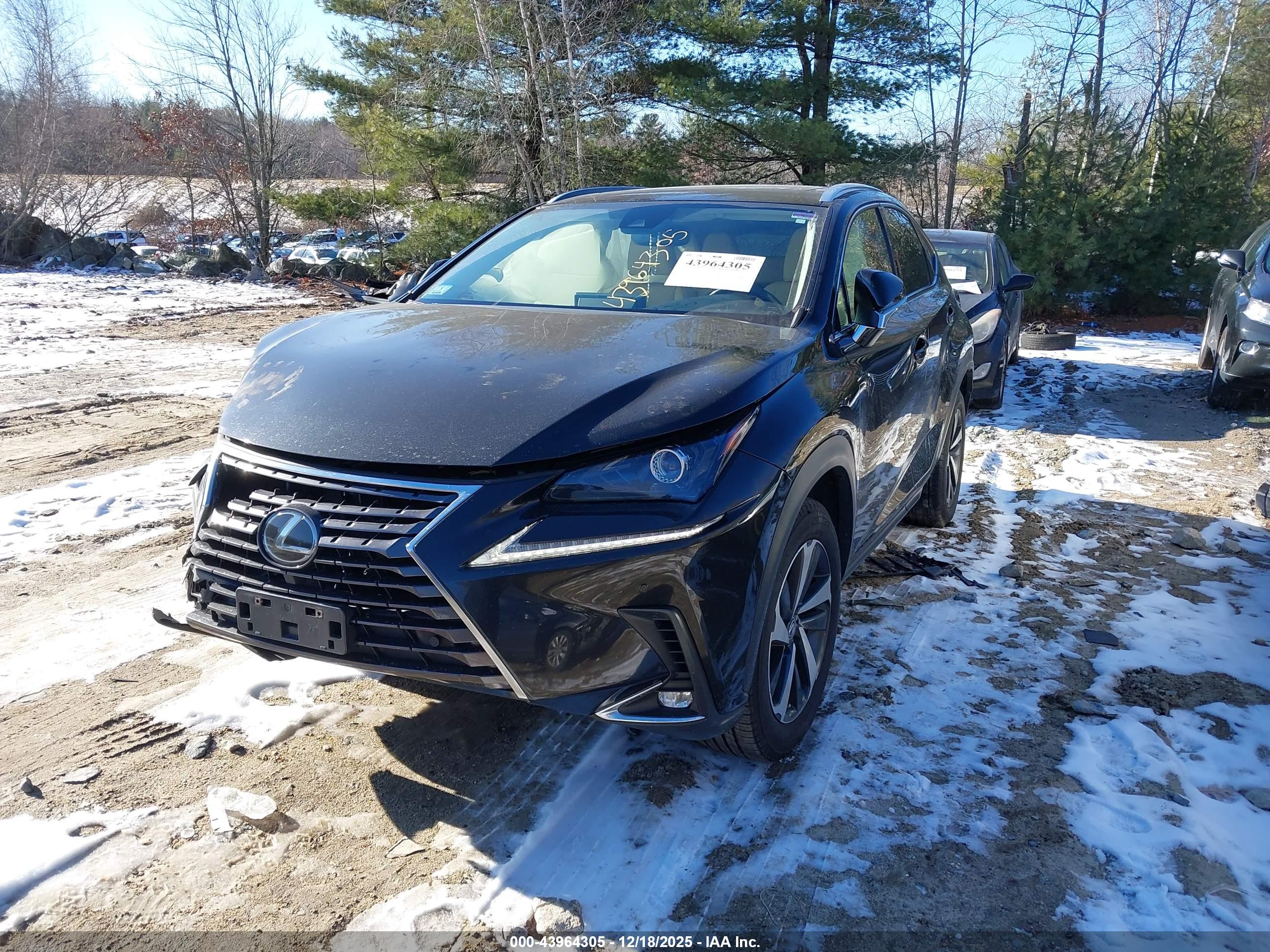 LEXUS NX image 2