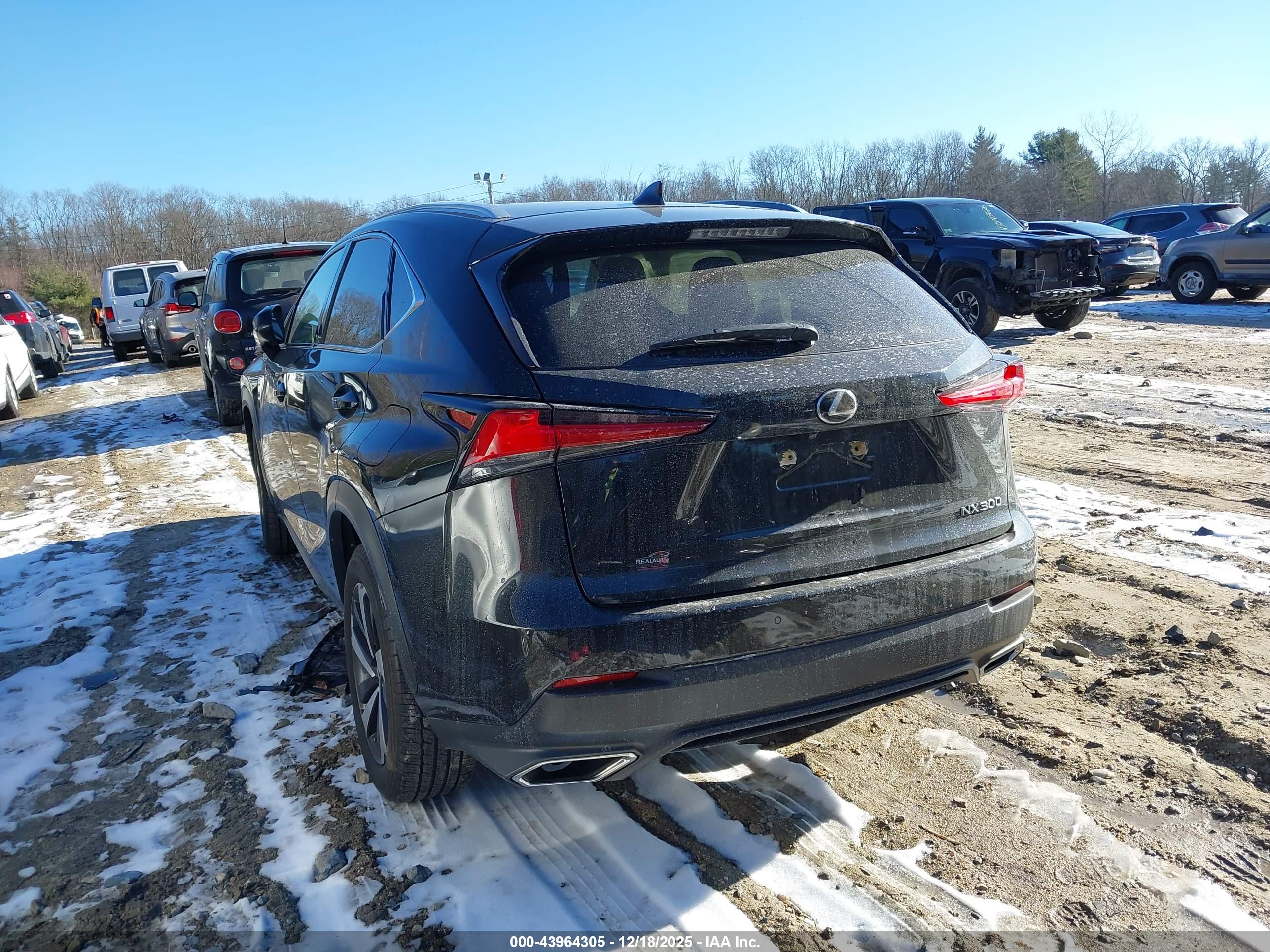 LEXUS NX image 3