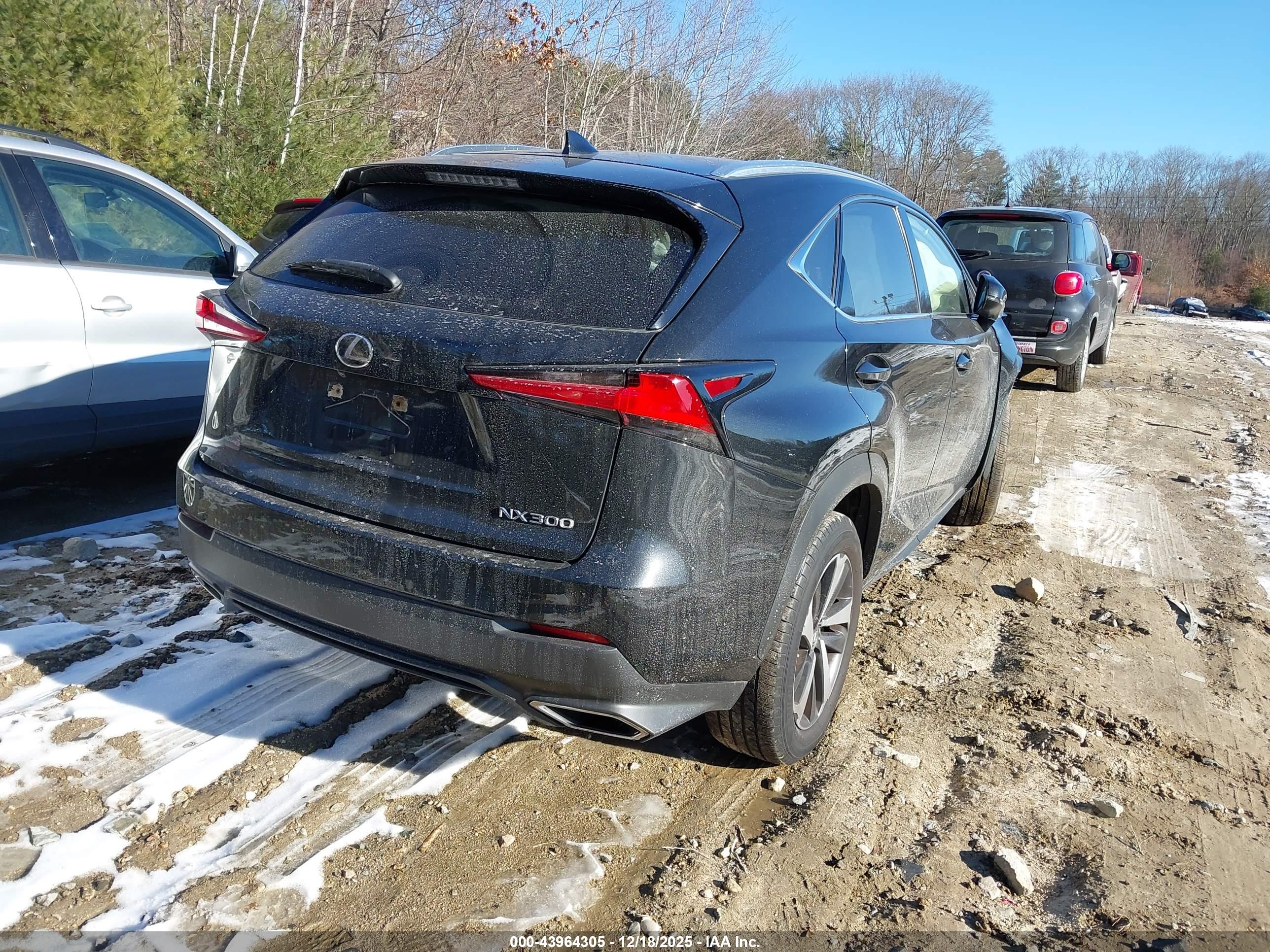 LEXUS NX image 4