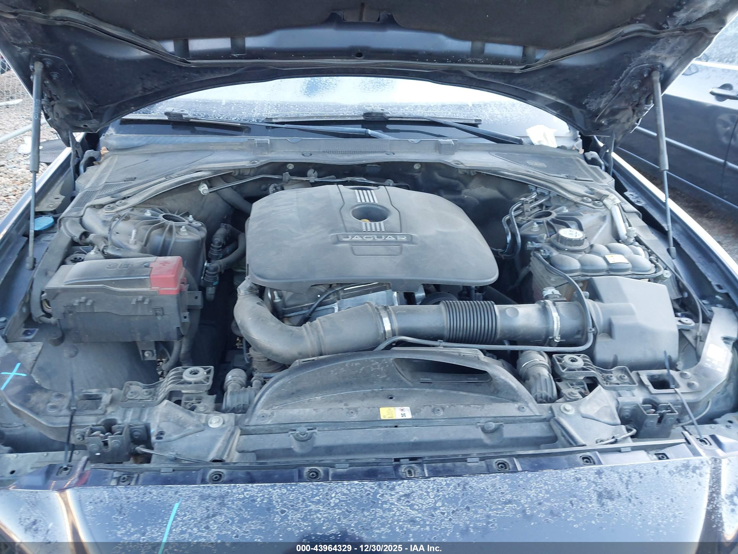 JAGUAR XE image 10