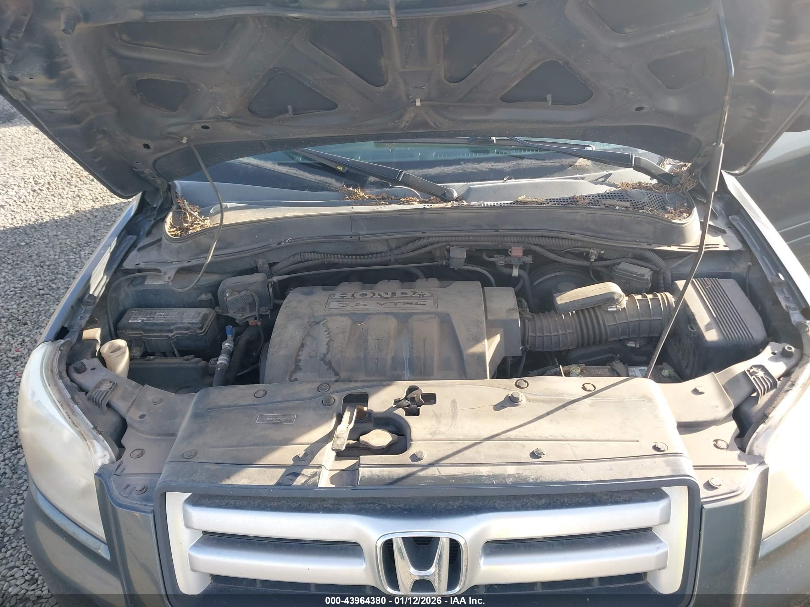 HONDA PILOT image 10