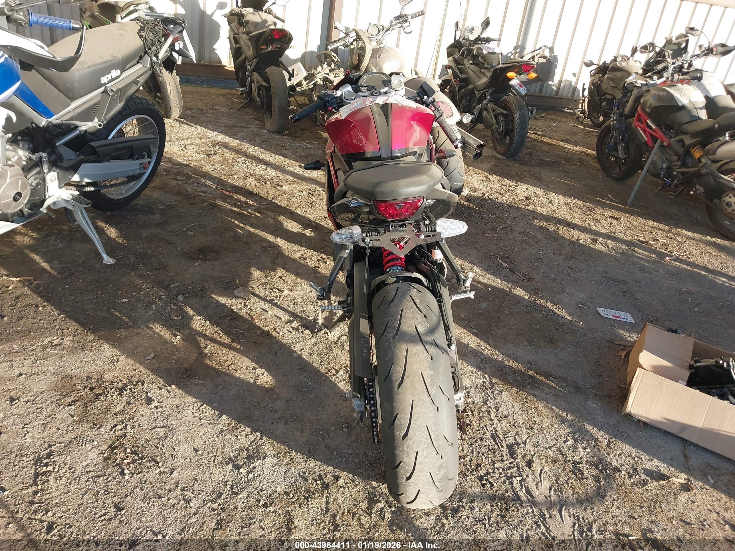 TRIUMPH MOTORCYCLE image 6