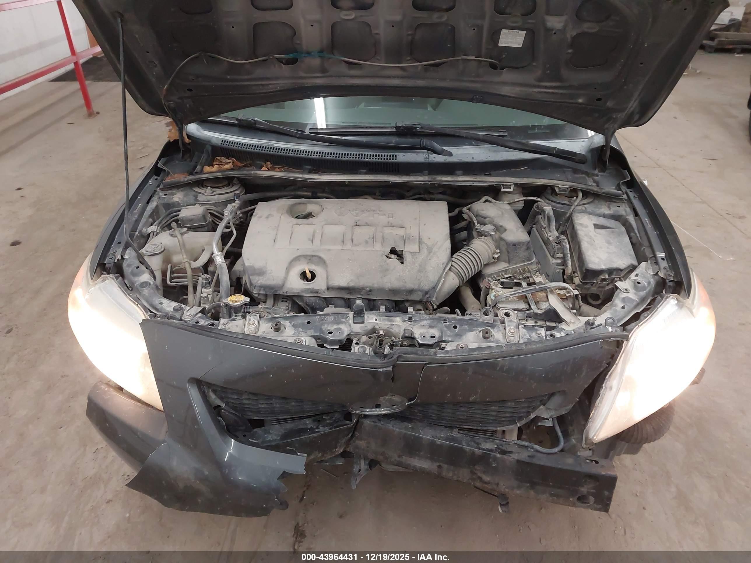 TOYOTA COROLLA image 10