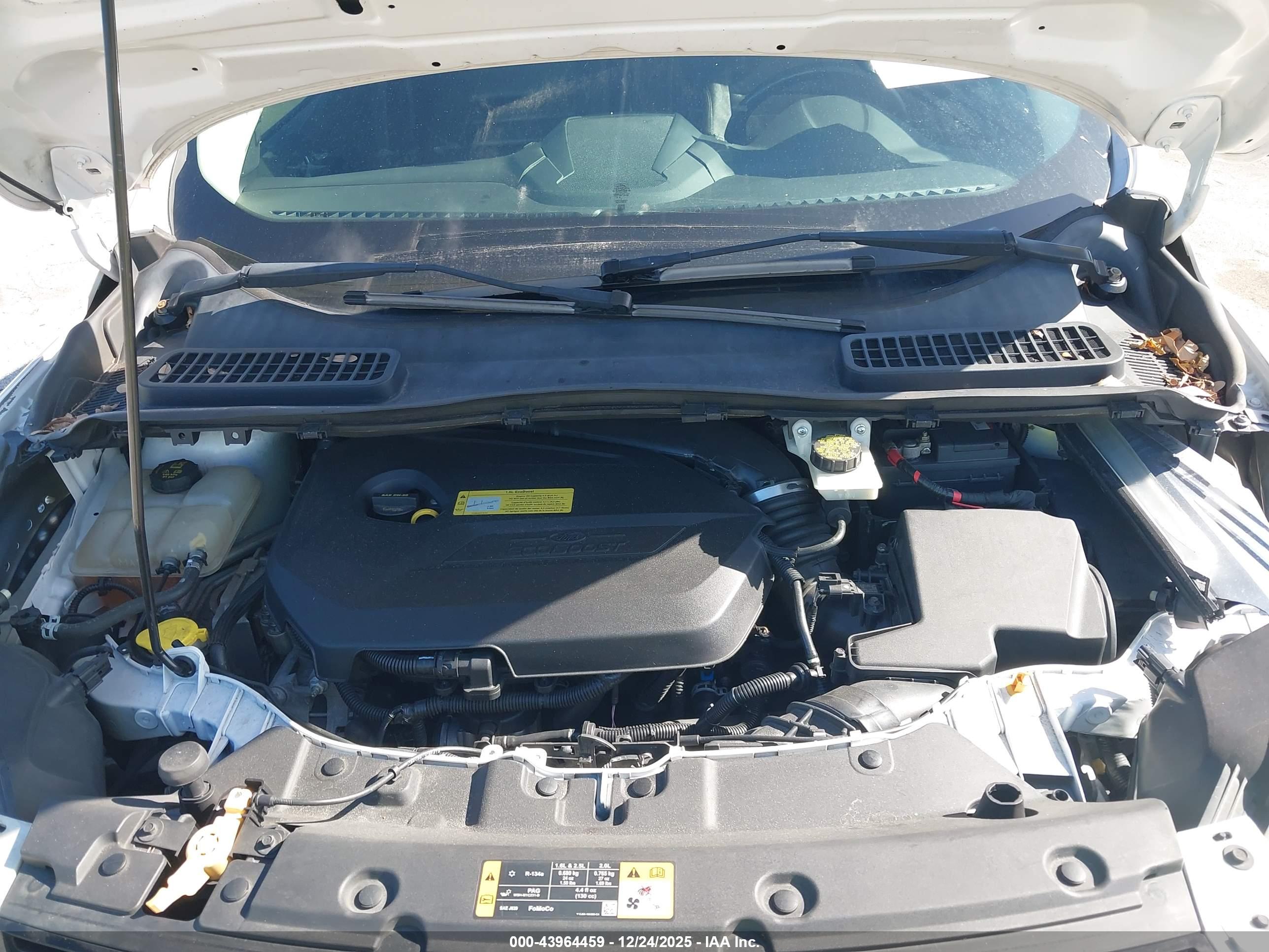 FORD ESCAPE image 10