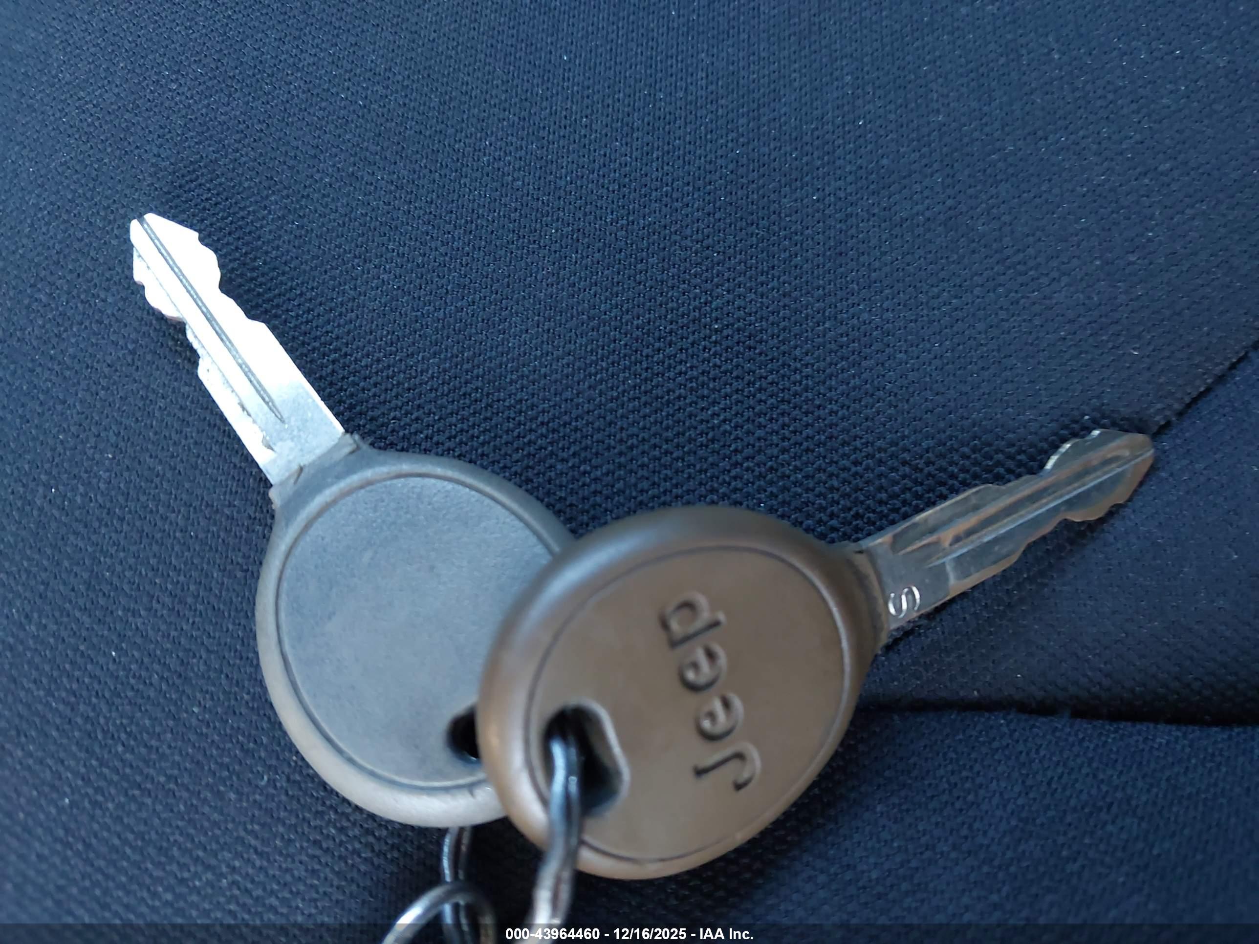 JEEP WRANGLER image 11