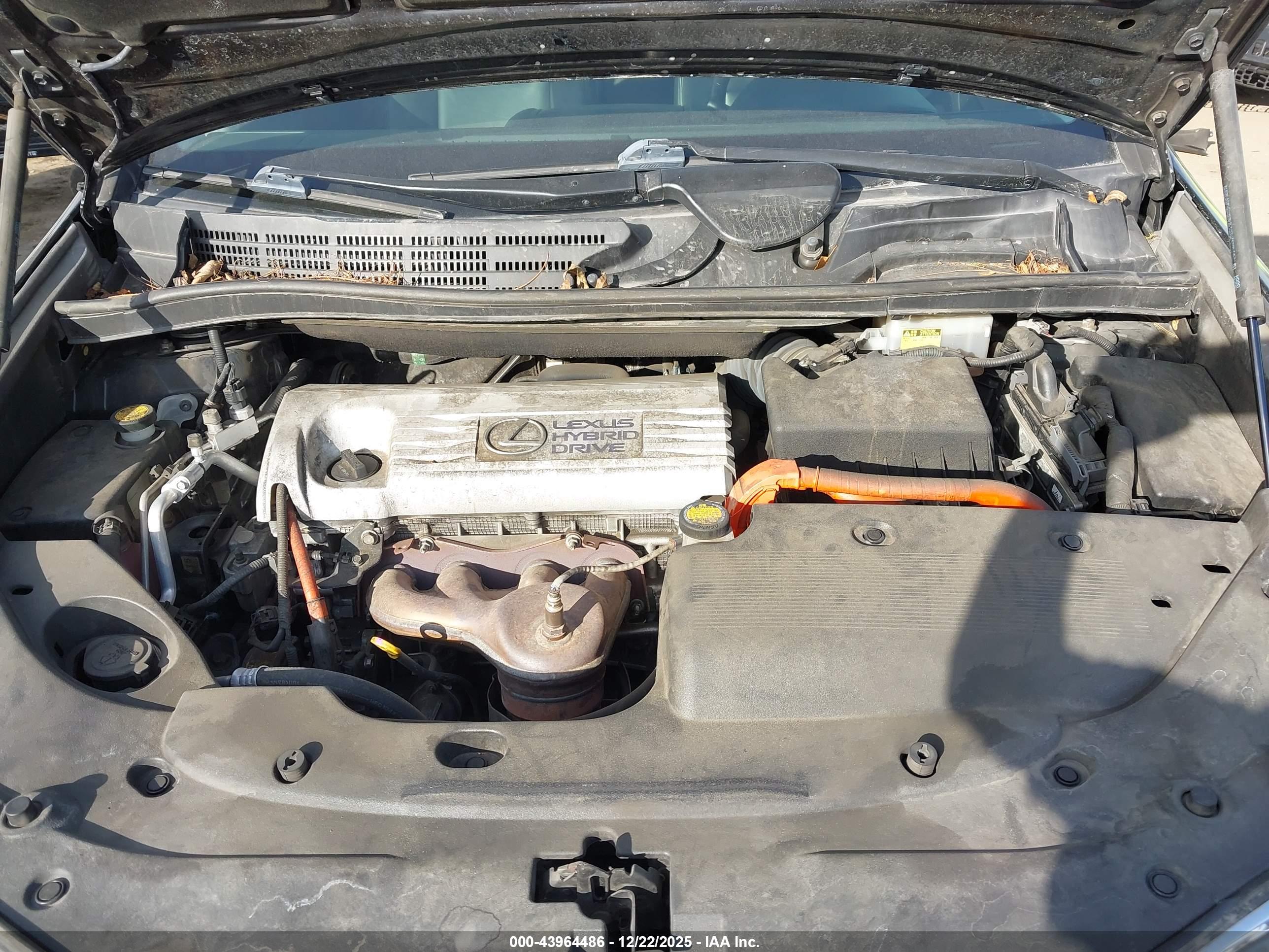 LEXUS HS image 10
