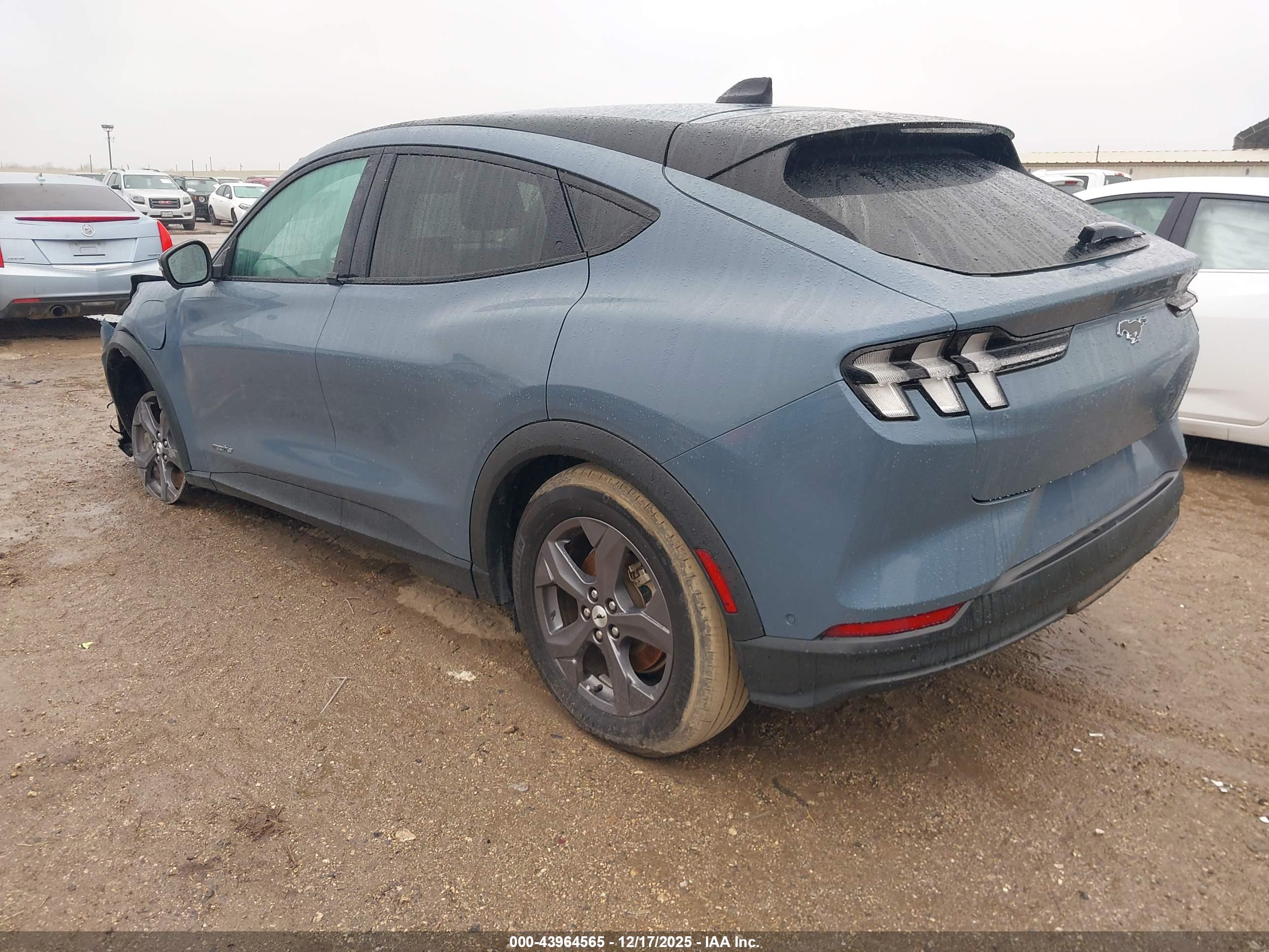 FORD MUSTANG image 3