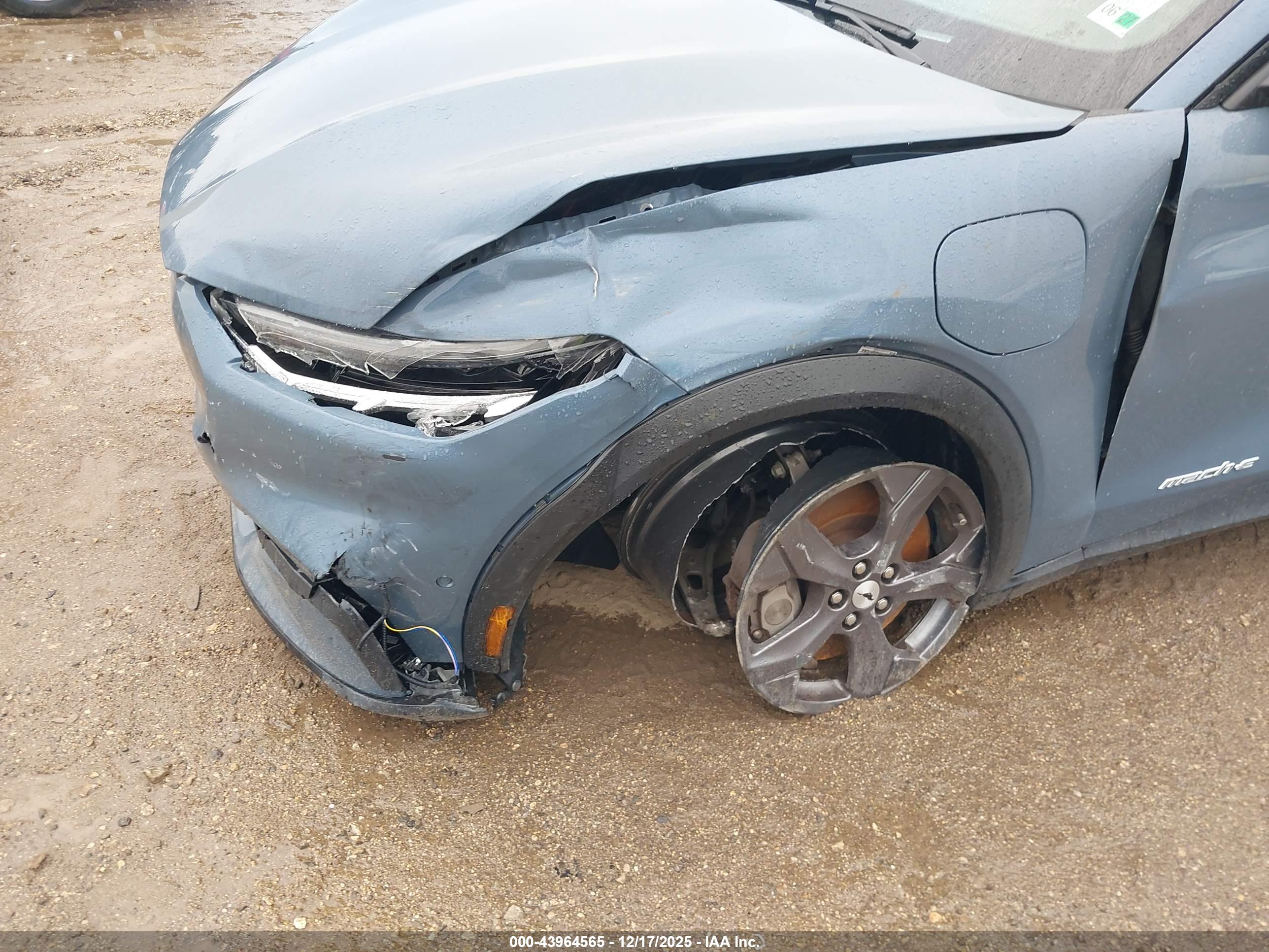 FORD MUSTANG image 6