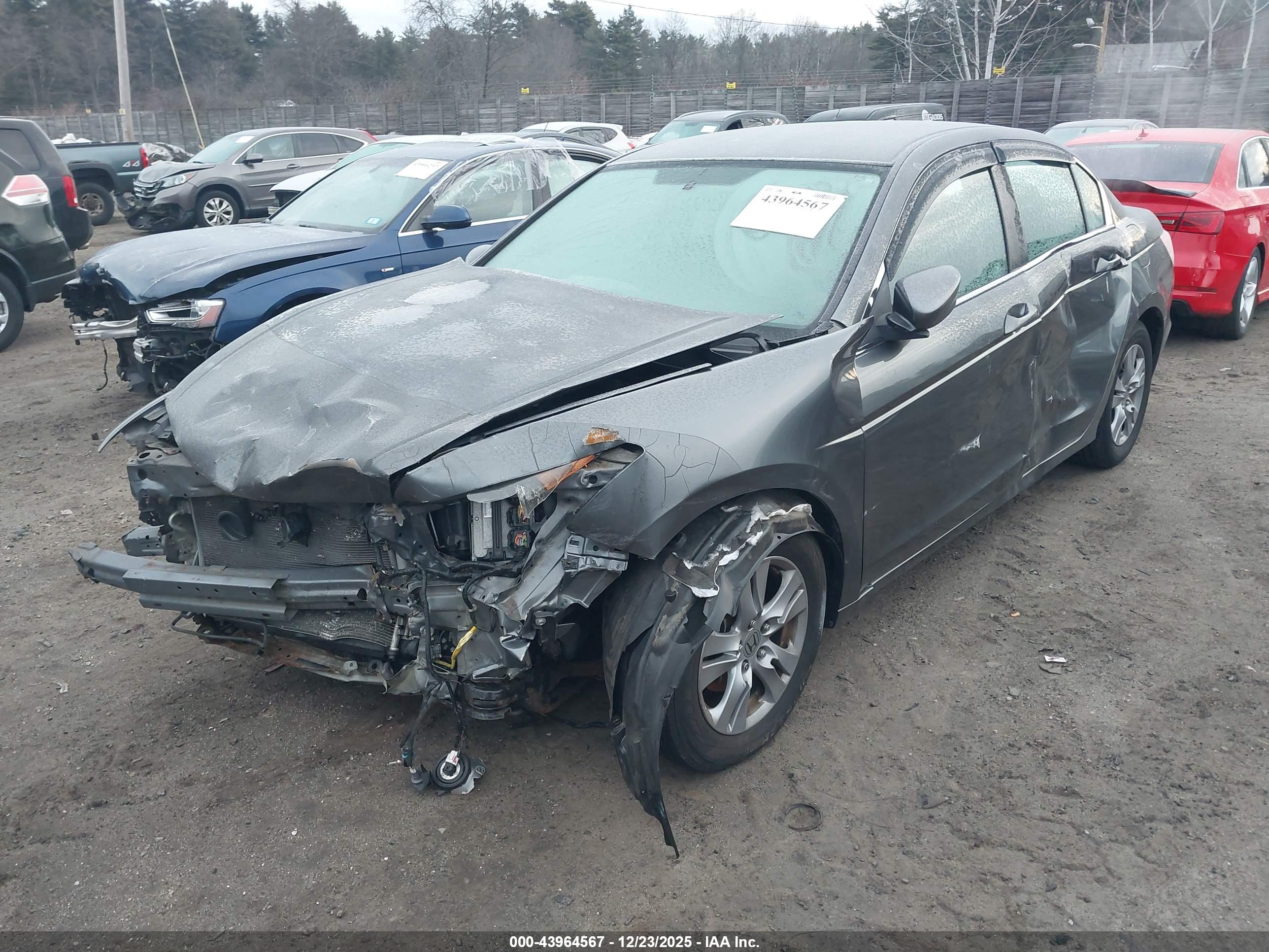 HONDA ACCORD image 2