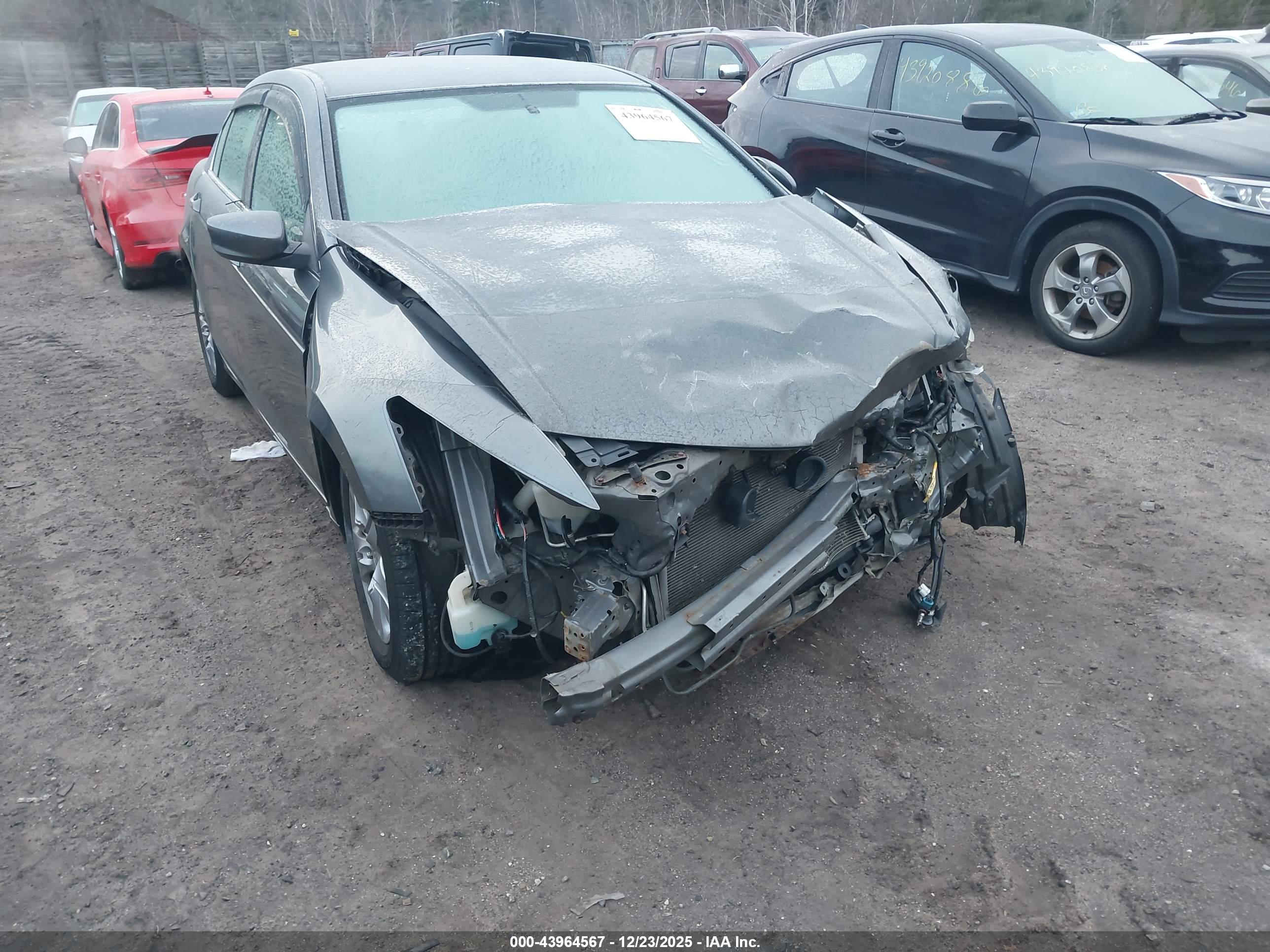 HONDA ACCORD image 6
