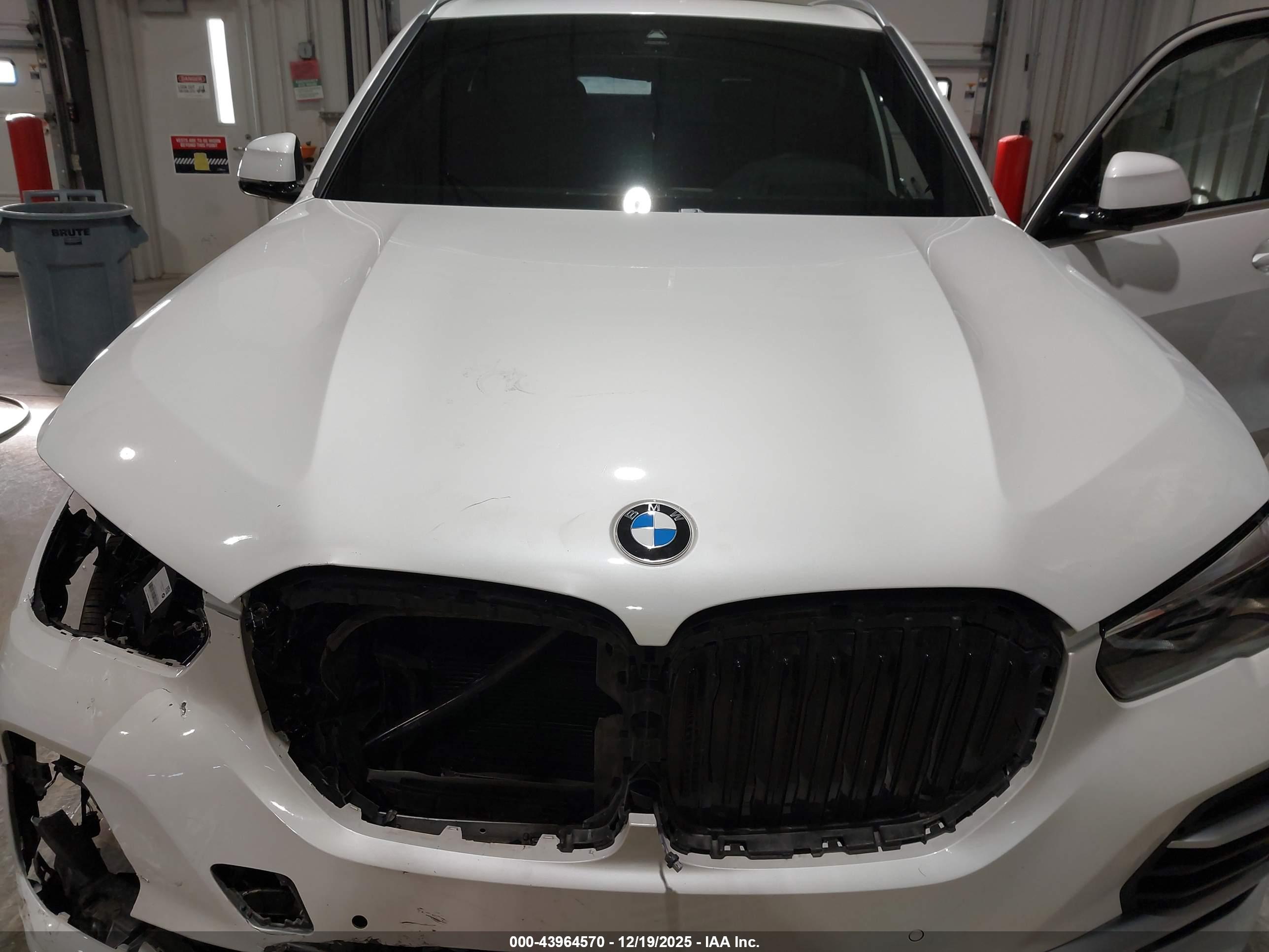 BMW X5 image 10