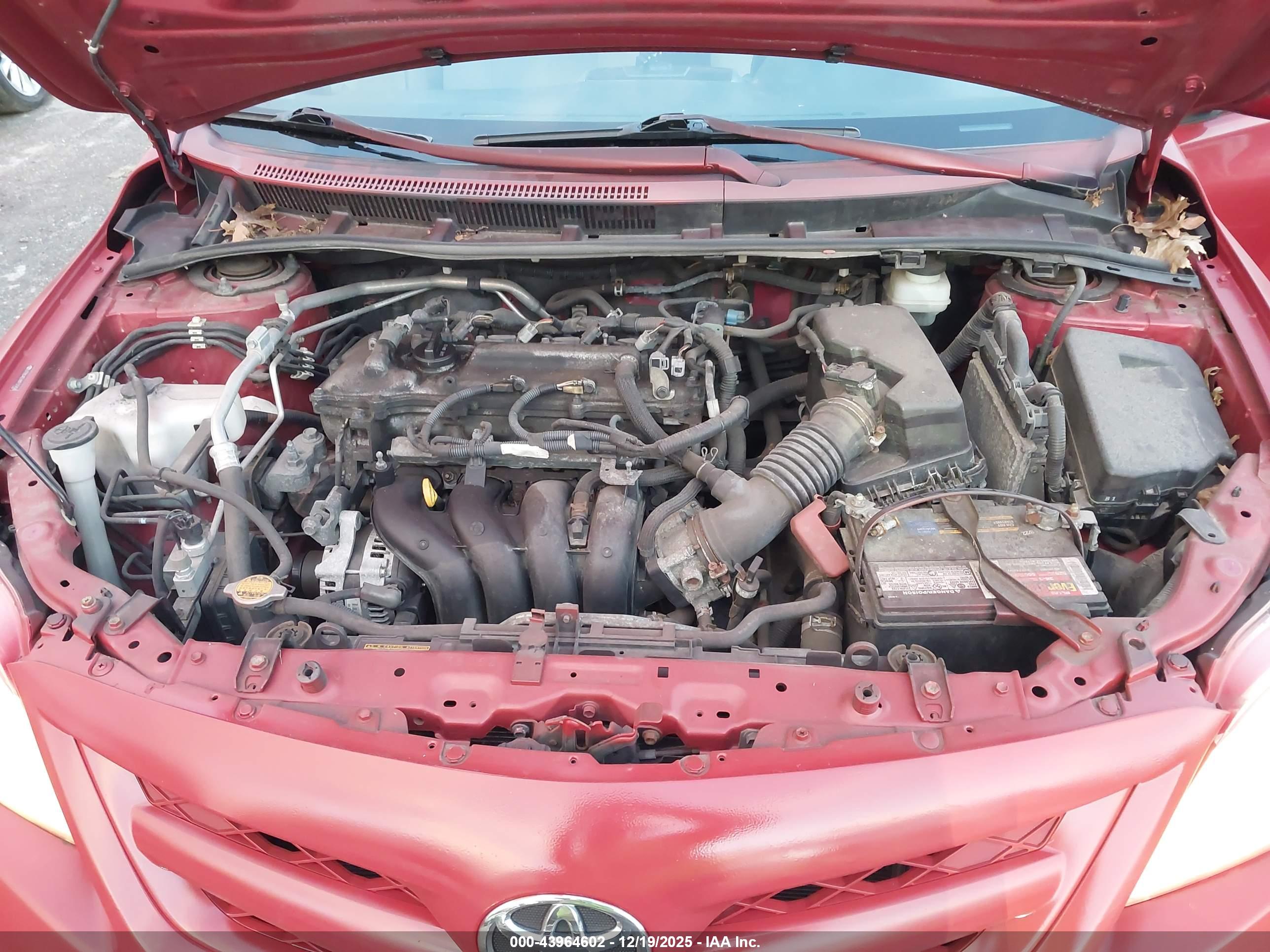 TOYOTA COROLLA image 10