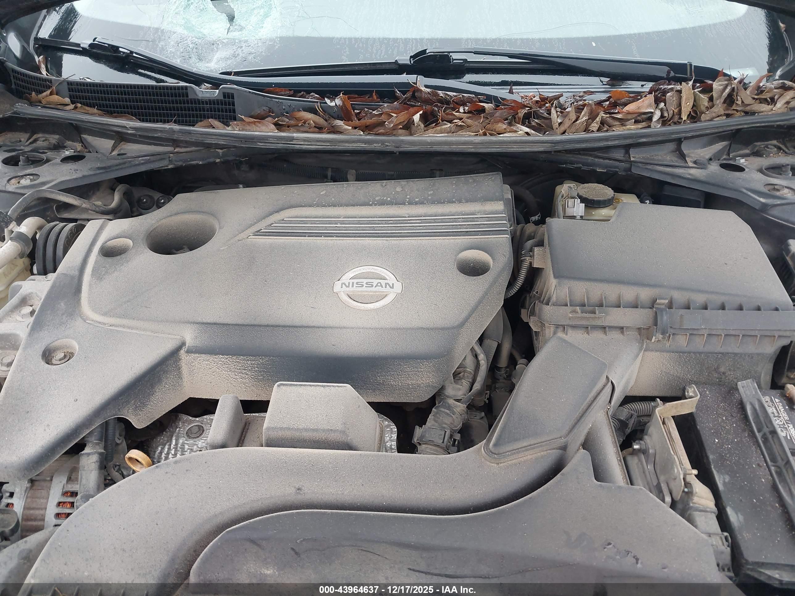NISSAN ALTIMA image 10