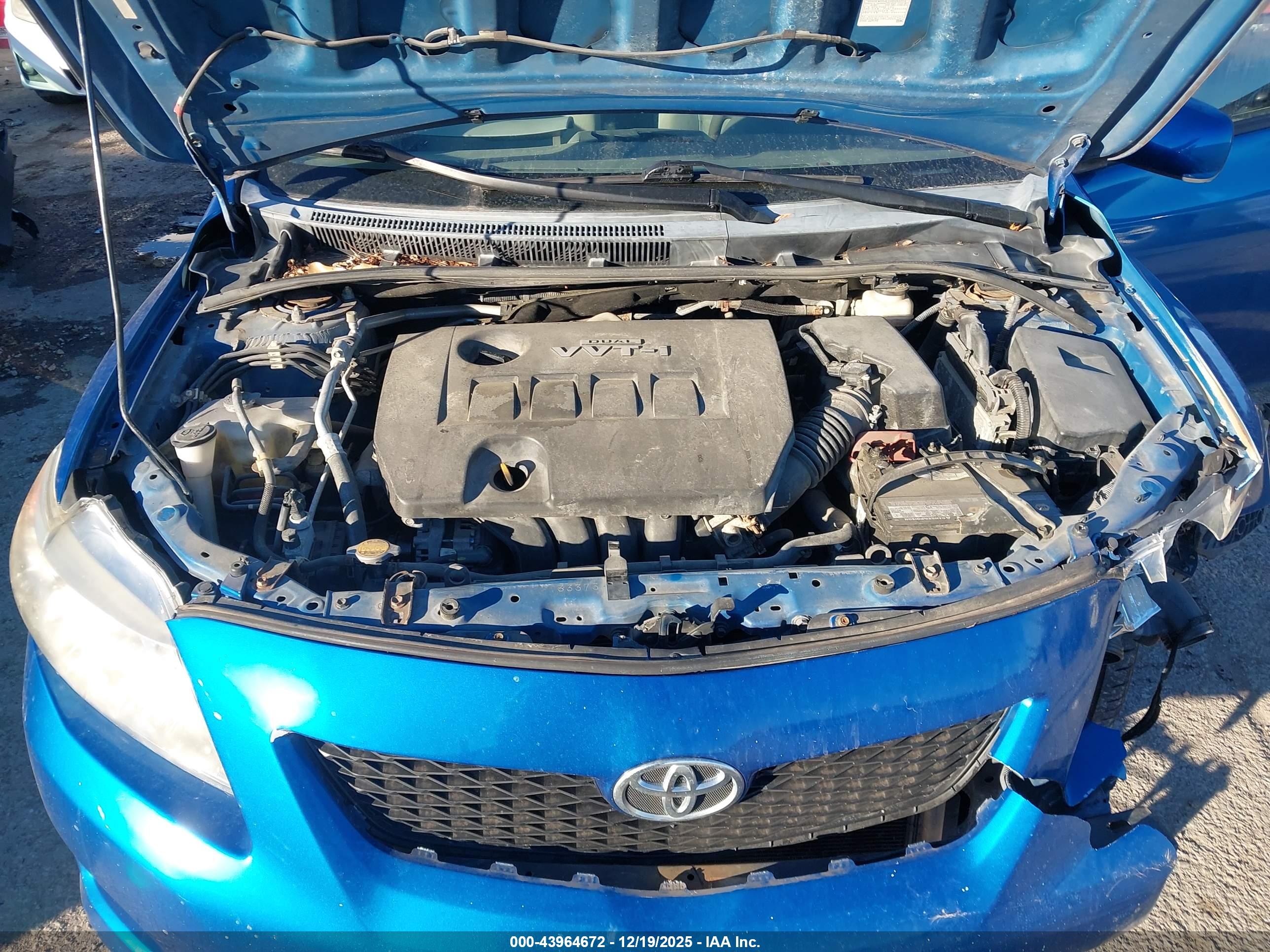 TOYOTA COROLLA image 10