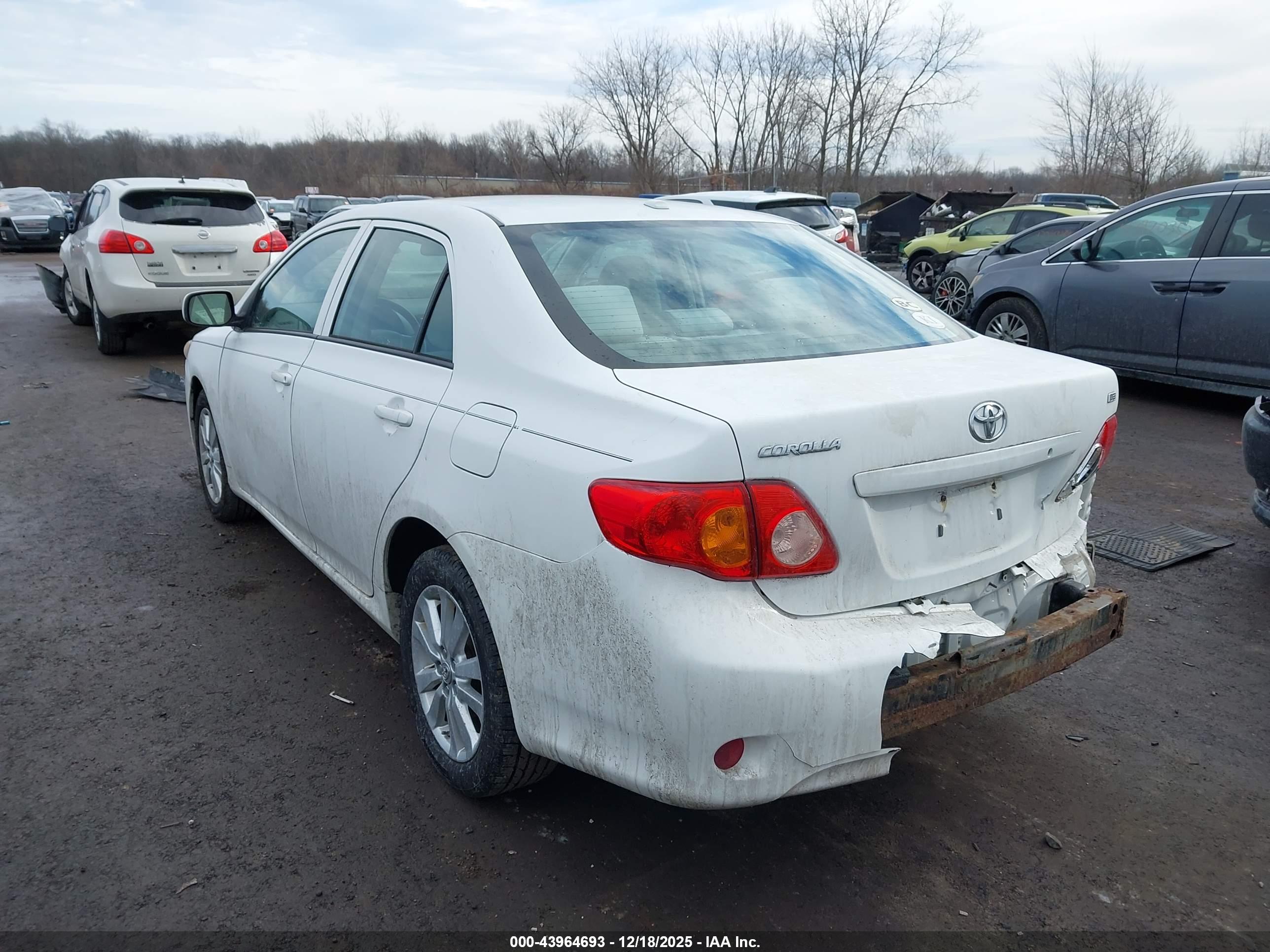 TOYOTA COROLLA image 3