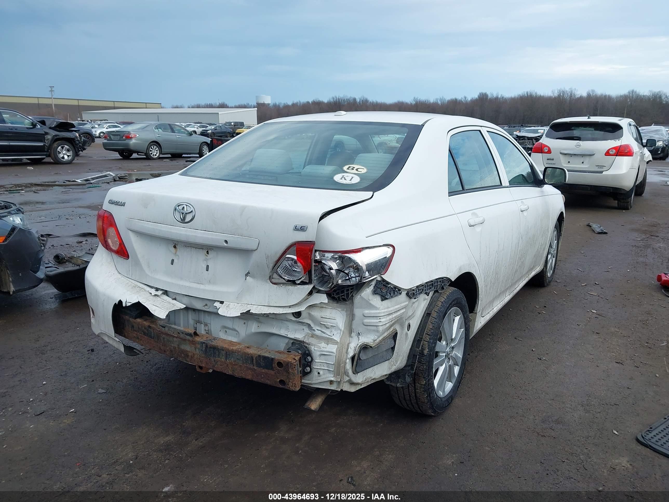 TOYOTA COROLLA image 4